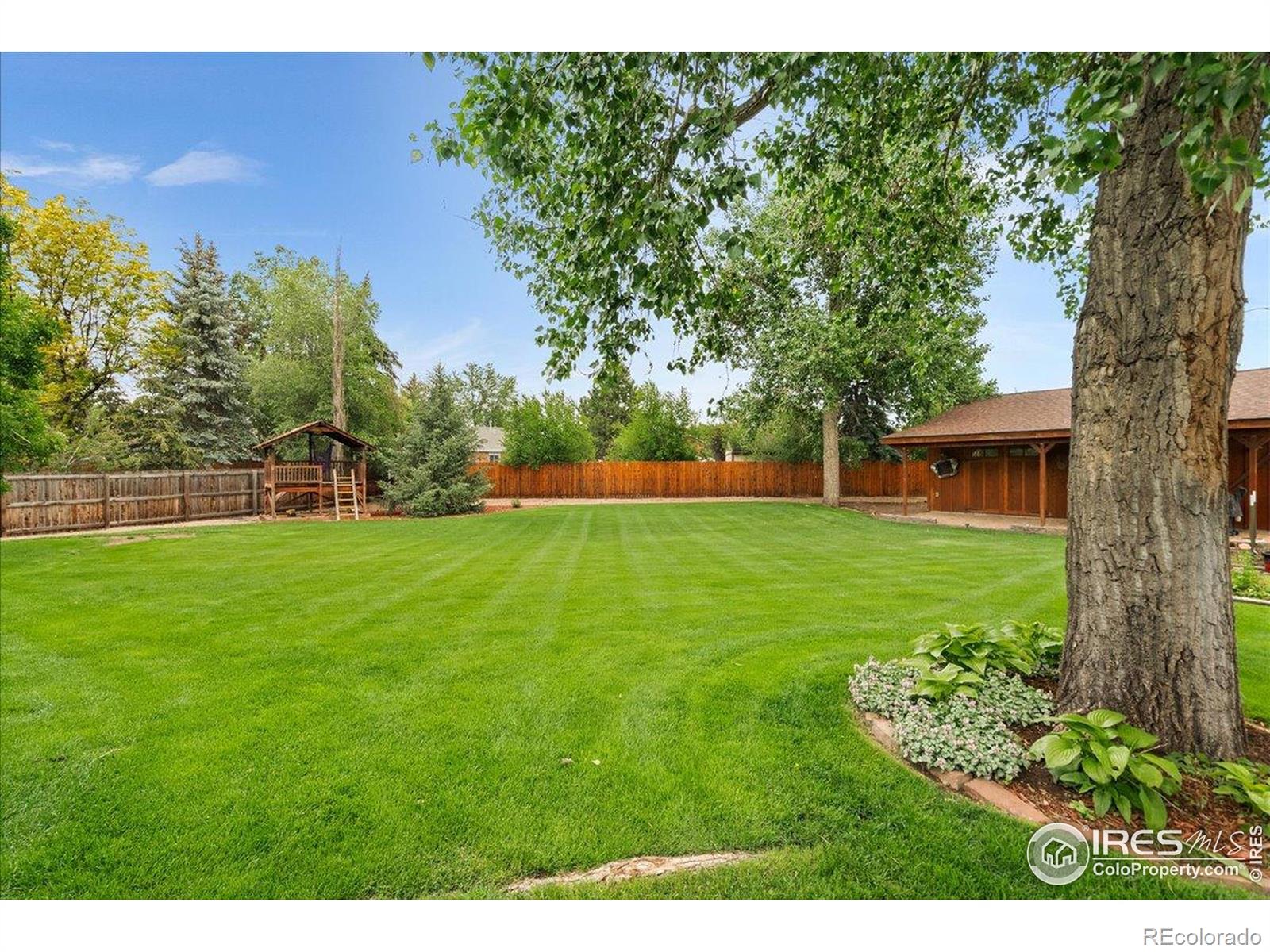 Report Image #1 for 1021  Pinyon Drive,Windsor, Colorado