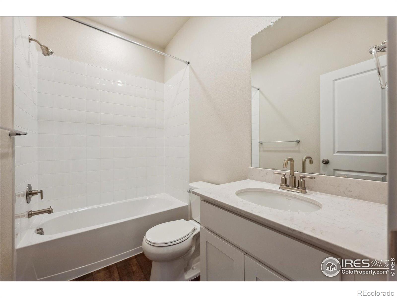 Report Image #1 for 4426  Trader Street,Timnath, Colorado