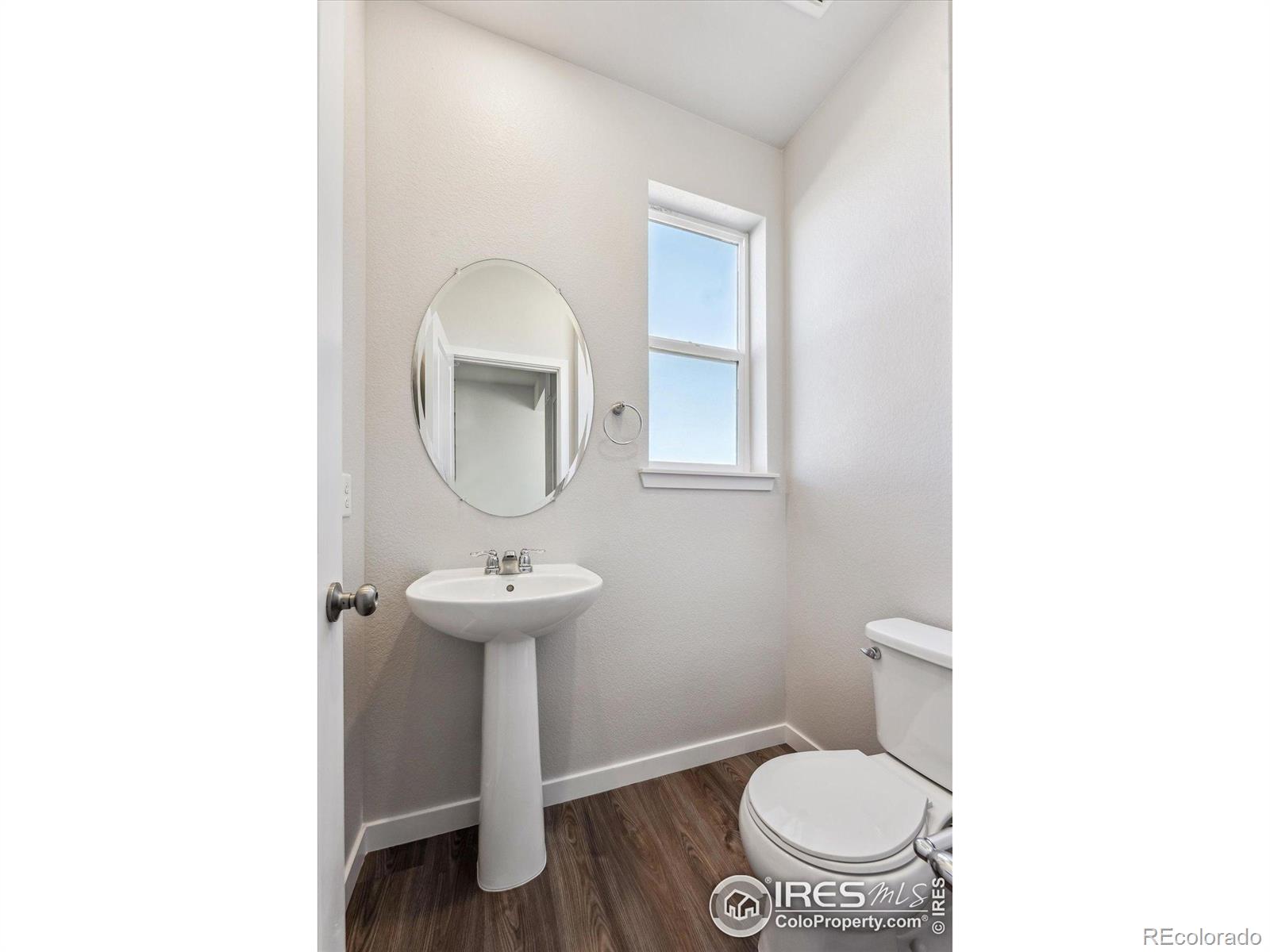 Report Image #1 for 4418  Trader Street,Timnath, Colorado