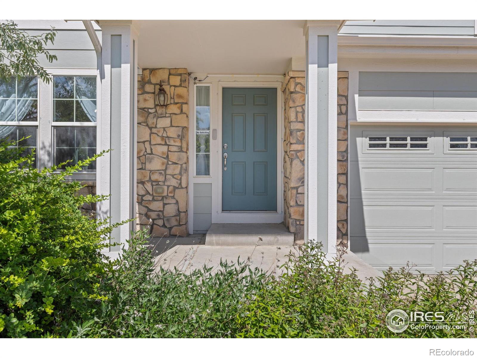 Report Image #1 for 183  Lister Way,Erie, Colorado