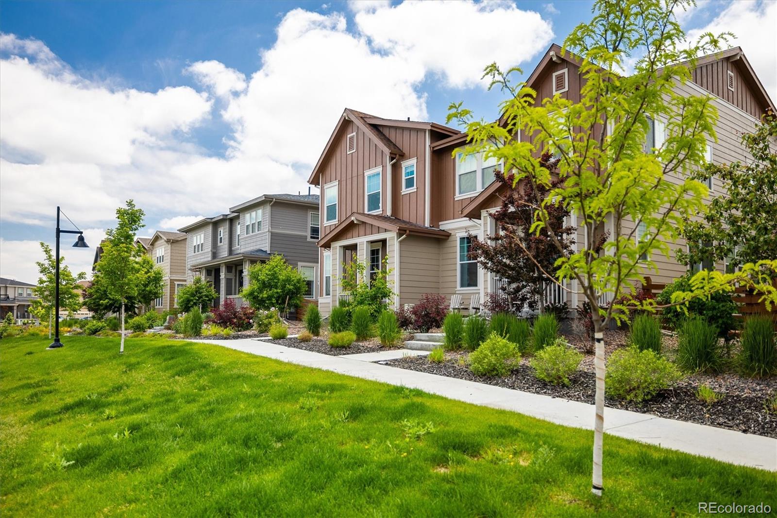 Report Image #1 for 1125  Anker Drive,Erie, Colorado