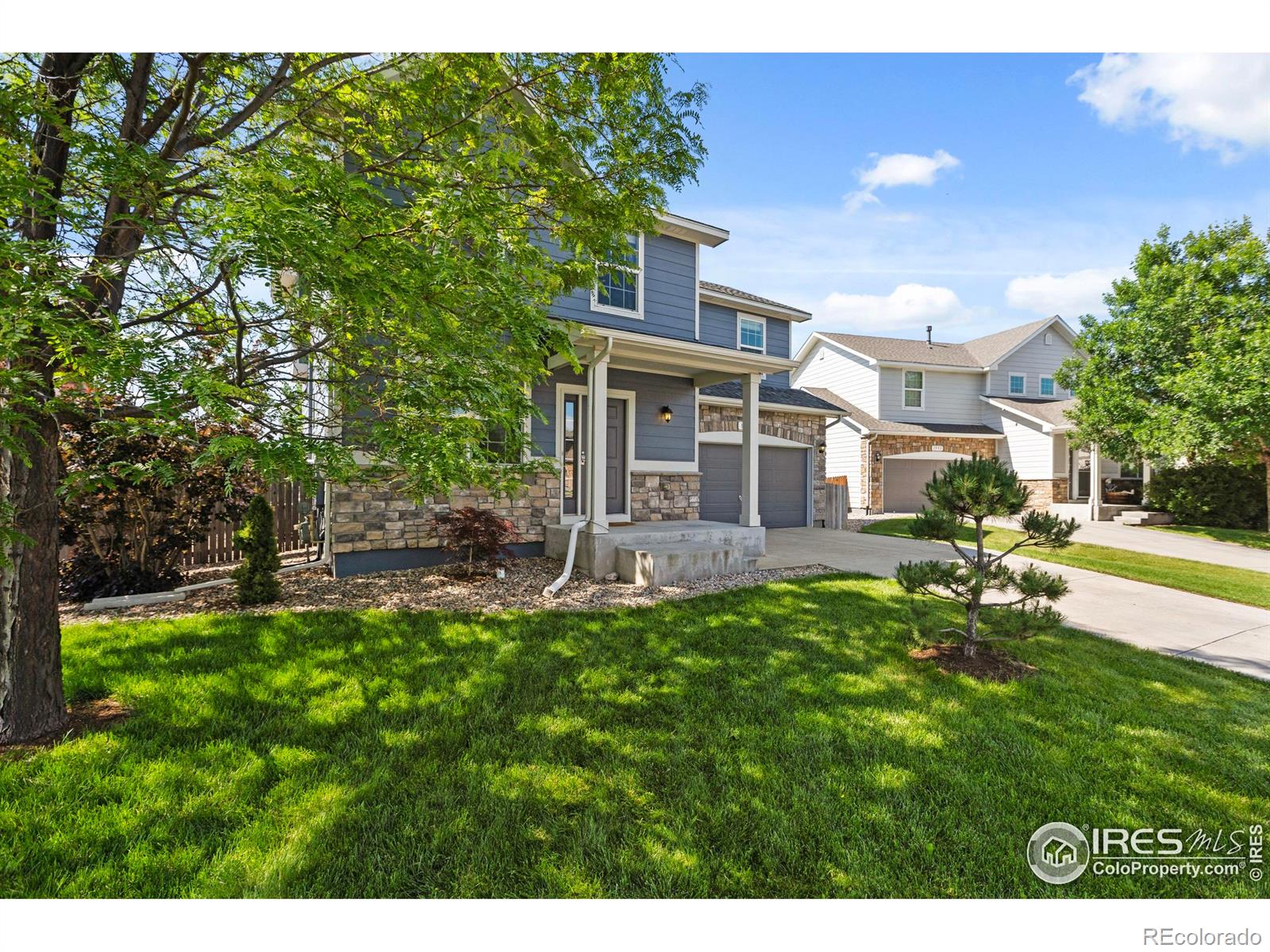 Report Image #1 for 1587  Edenbridge Drive,Windsor, Colorado