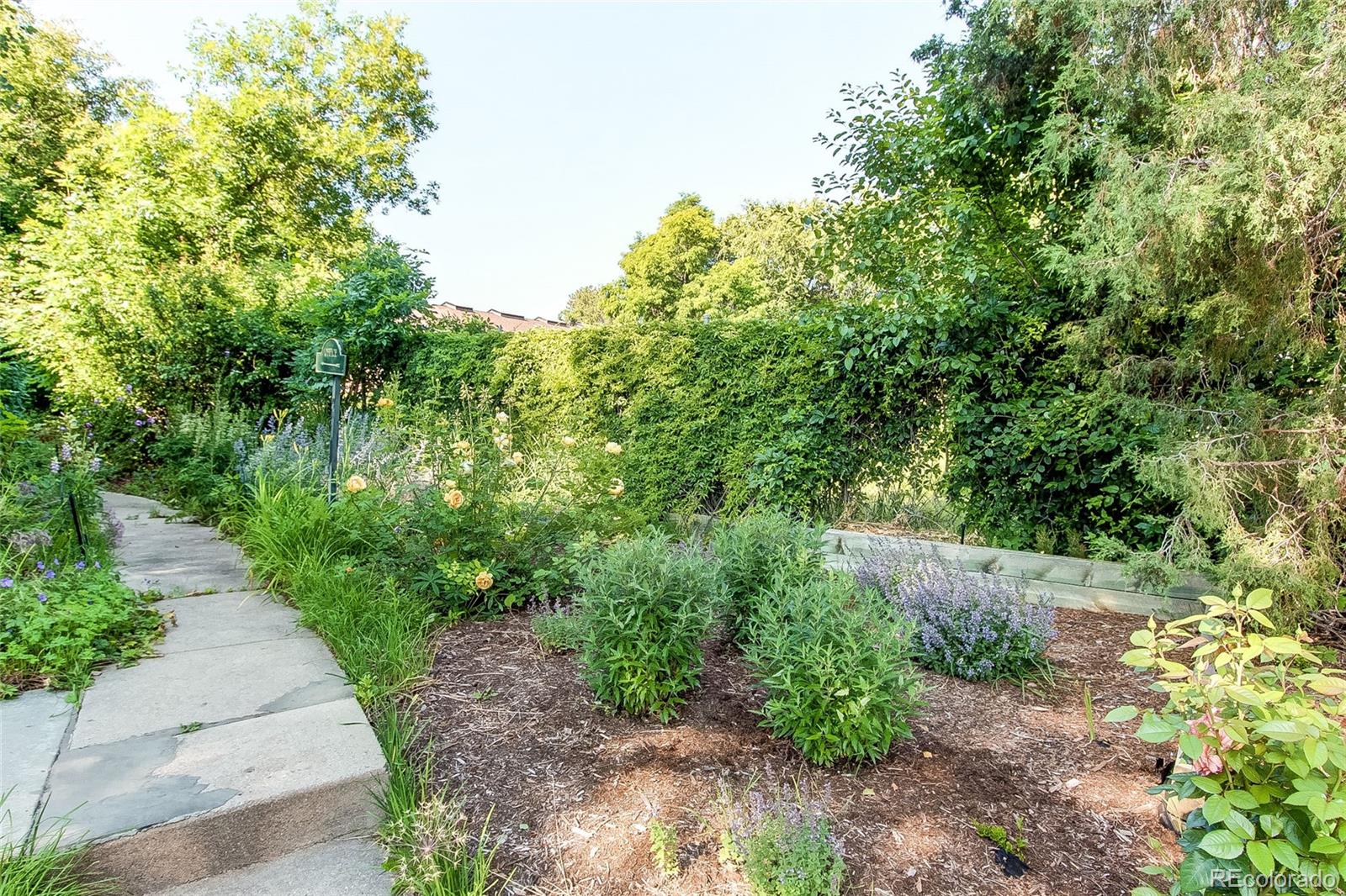 Report Image #1 for 8888 W 37th Place,Wheat Ridge, Colorado