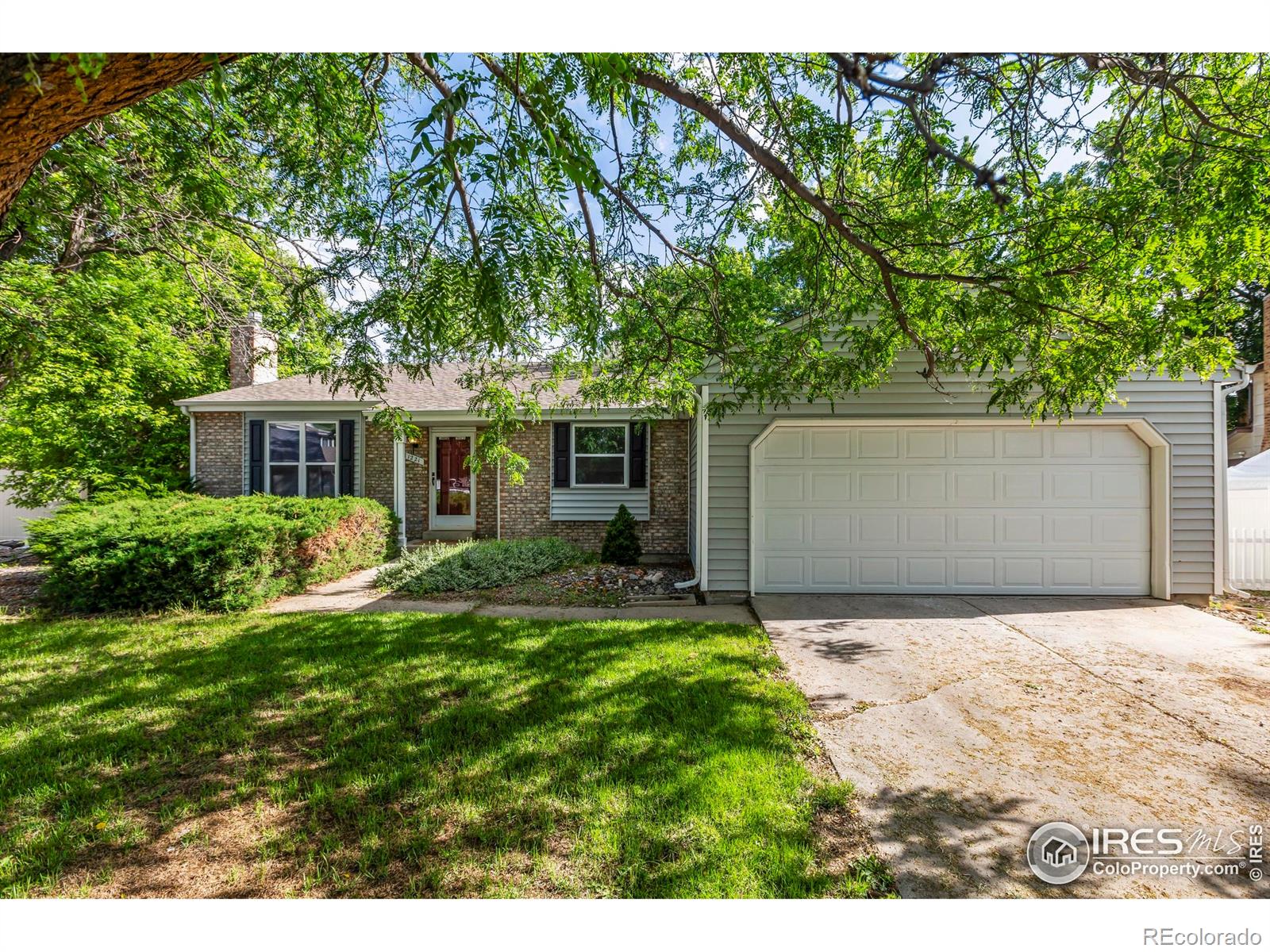 Report Image #1 for 1221  Bay Court,Loveland, Colorado