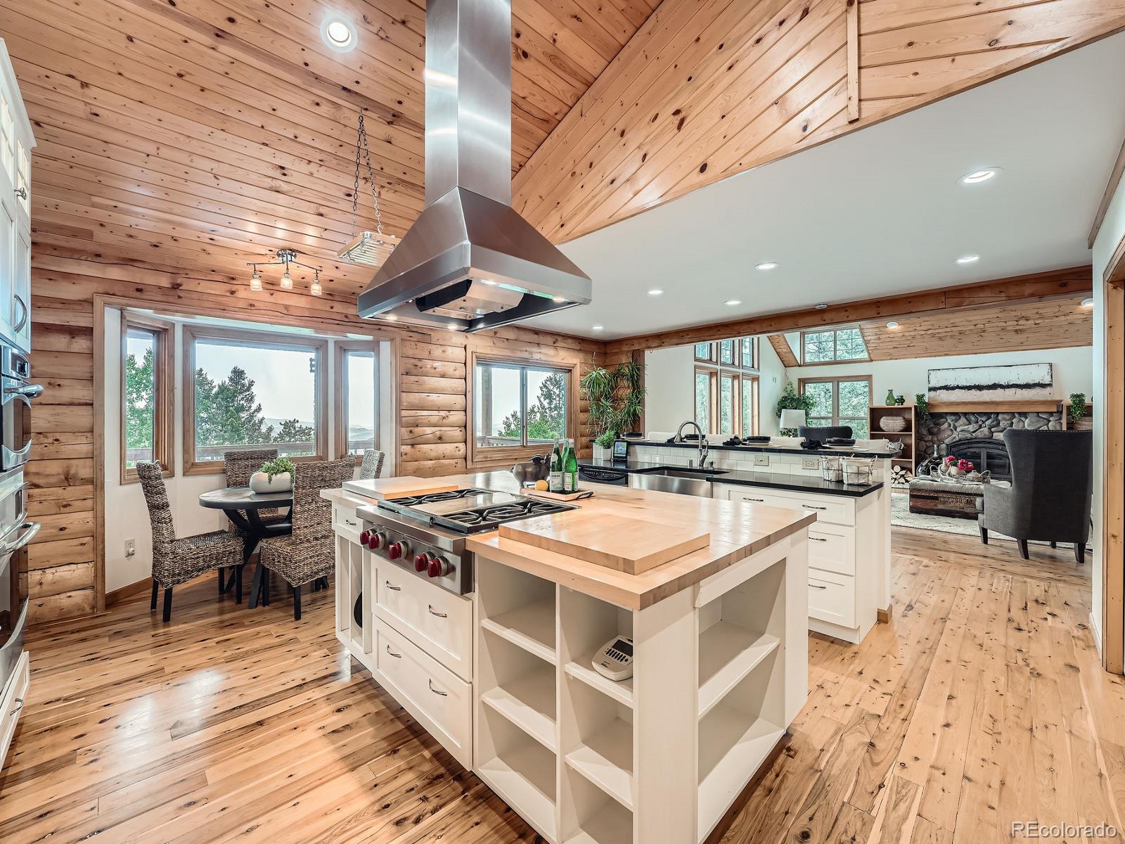 Report Image #1 for 1527 S Pine Drive,Bailey, Colorado