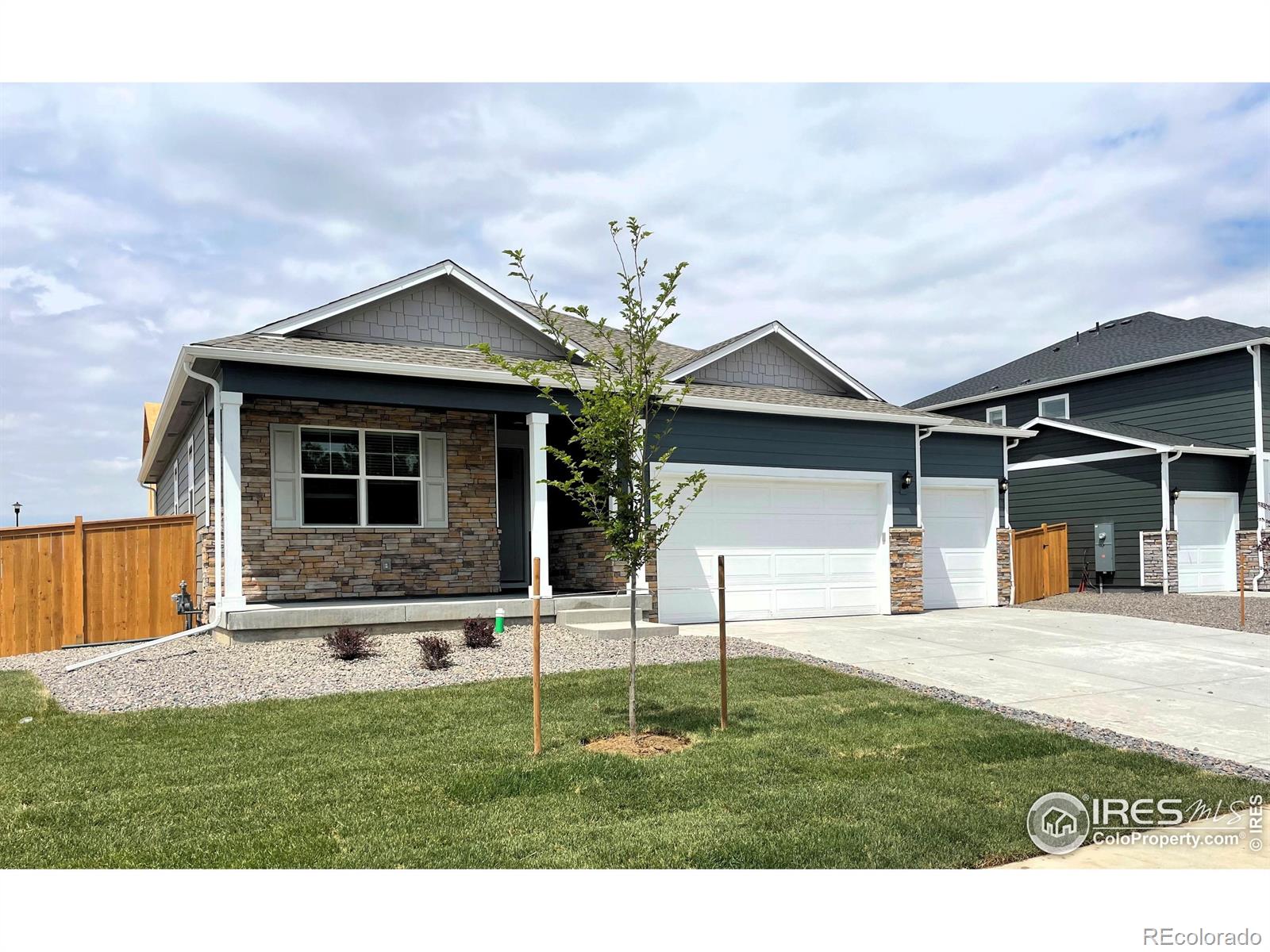 Report Image #1 for 6322  Globeflower Street,Wellington, Colorado
