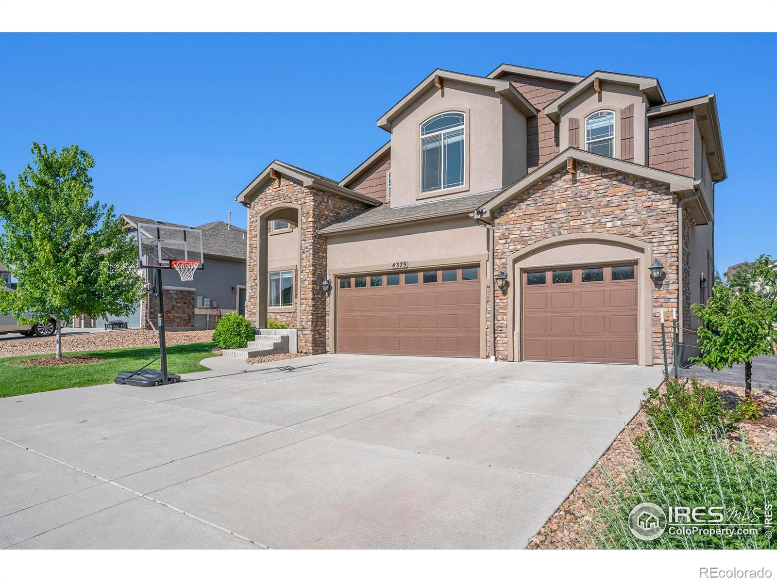 Report Image #1 for 4379  Lemon Grass Drive,Johnstown, Colorado