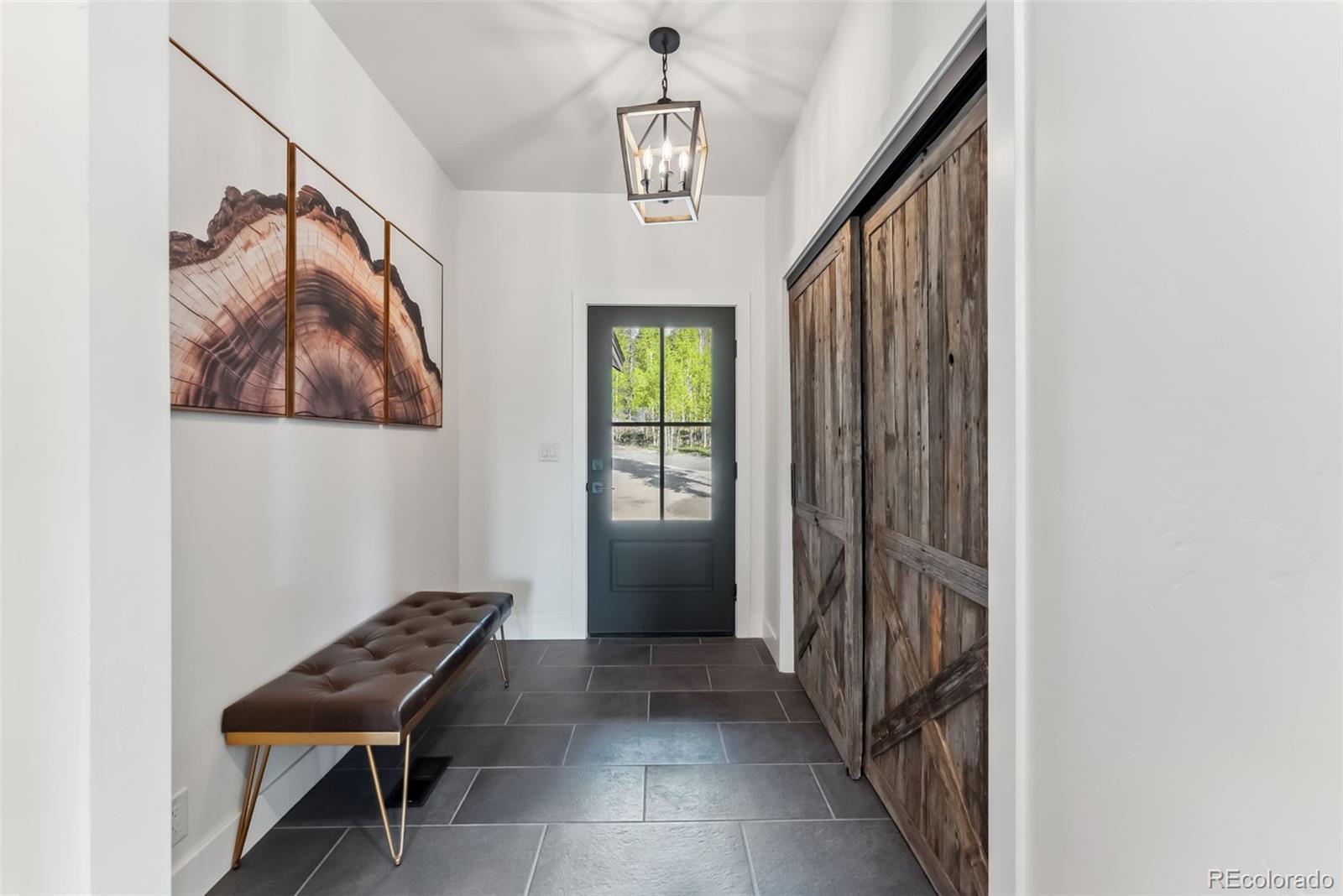 Report Image #1 for 372  Park View Drive,Fairplay, Colorado
