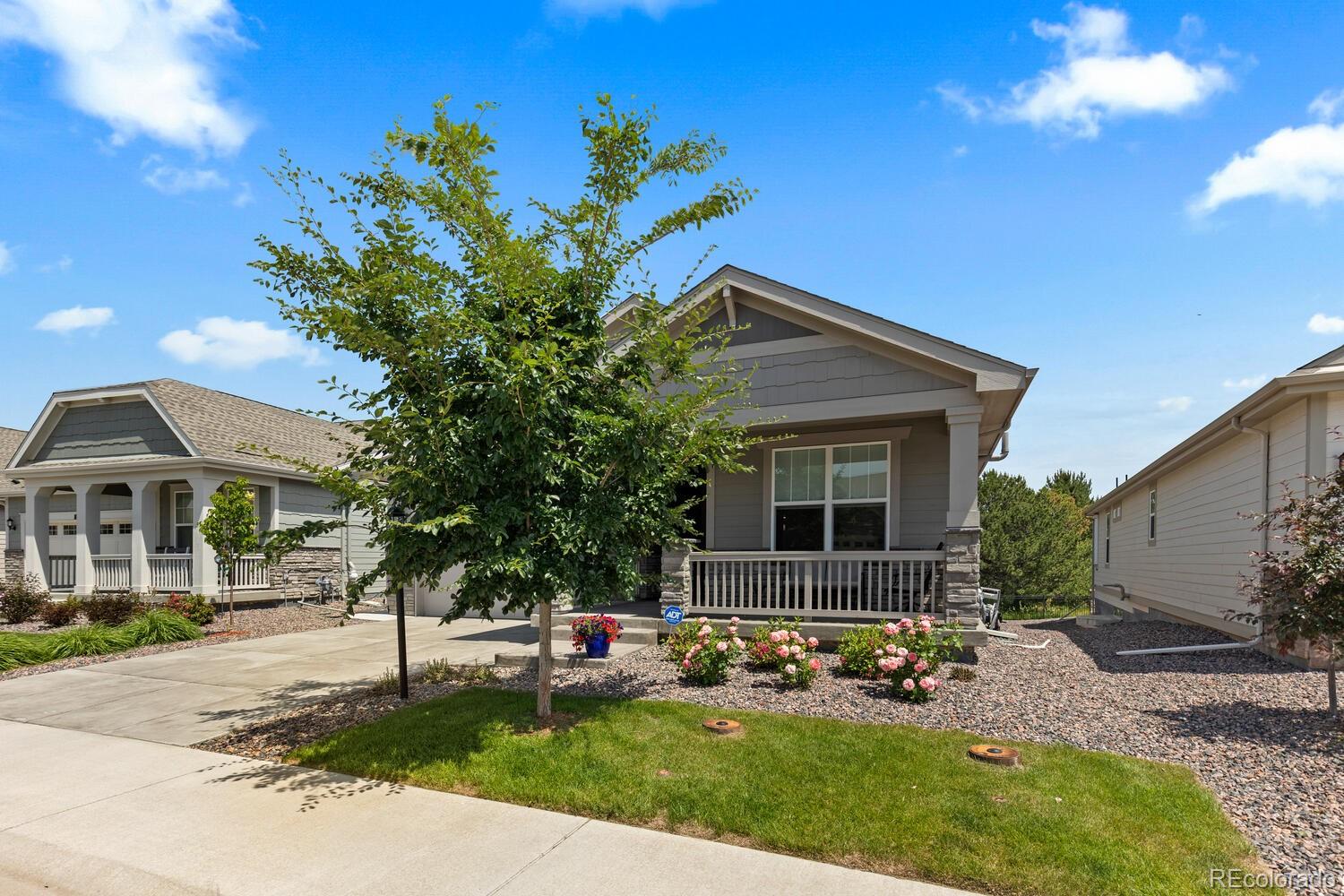 Report Image #1 for 15802  Xanthia Way,Thornton, Colorado