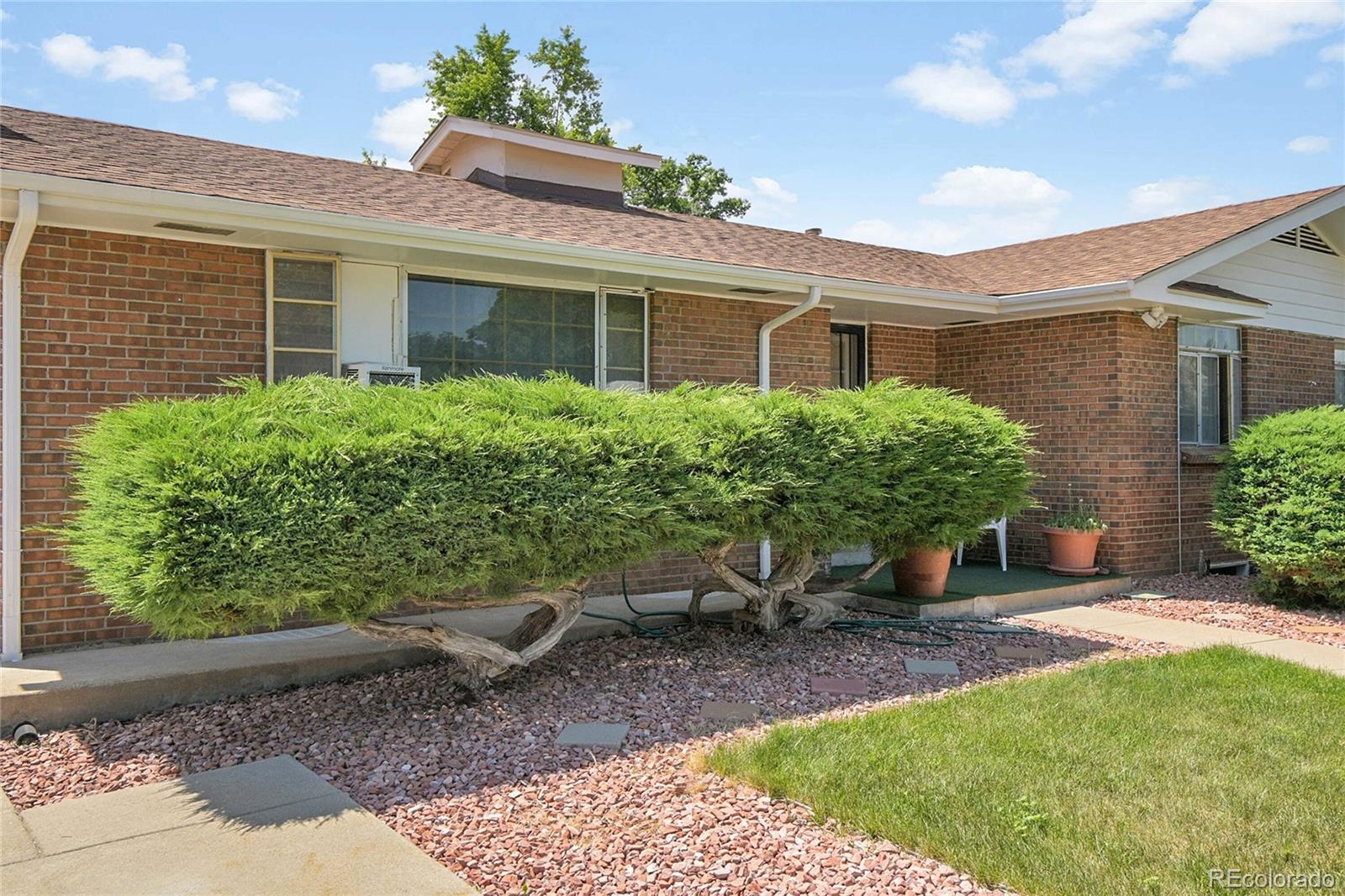 Report Image #1 for 4705  Upham Street,Wheat Ridge, Colorado