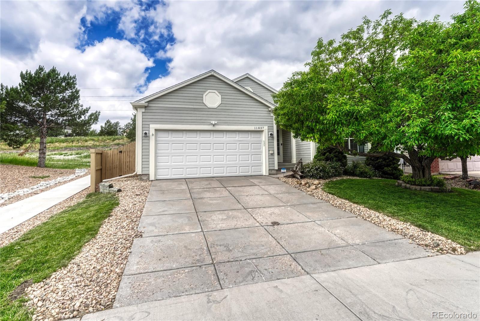 Report Image #1 for 11837  Meadowood Lane,Parker, Colorado