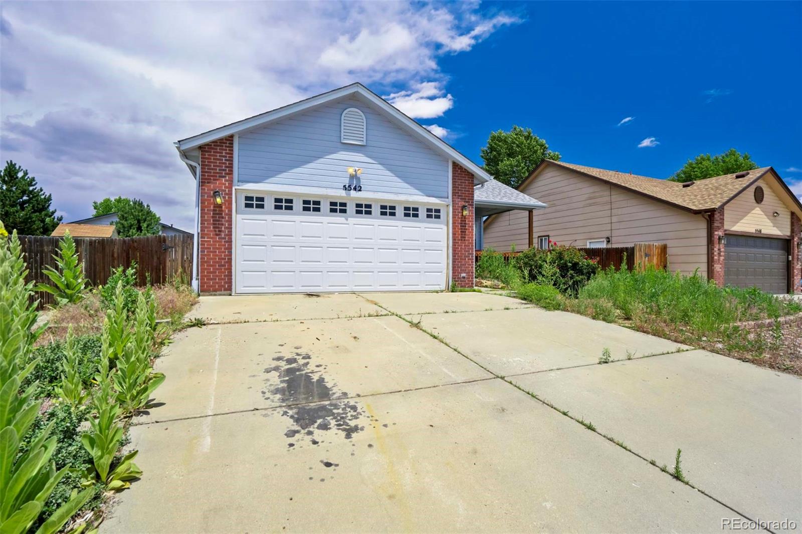 Report Image #1 for 5542  Kingsboro Drive,Colorado Springs, Colorado