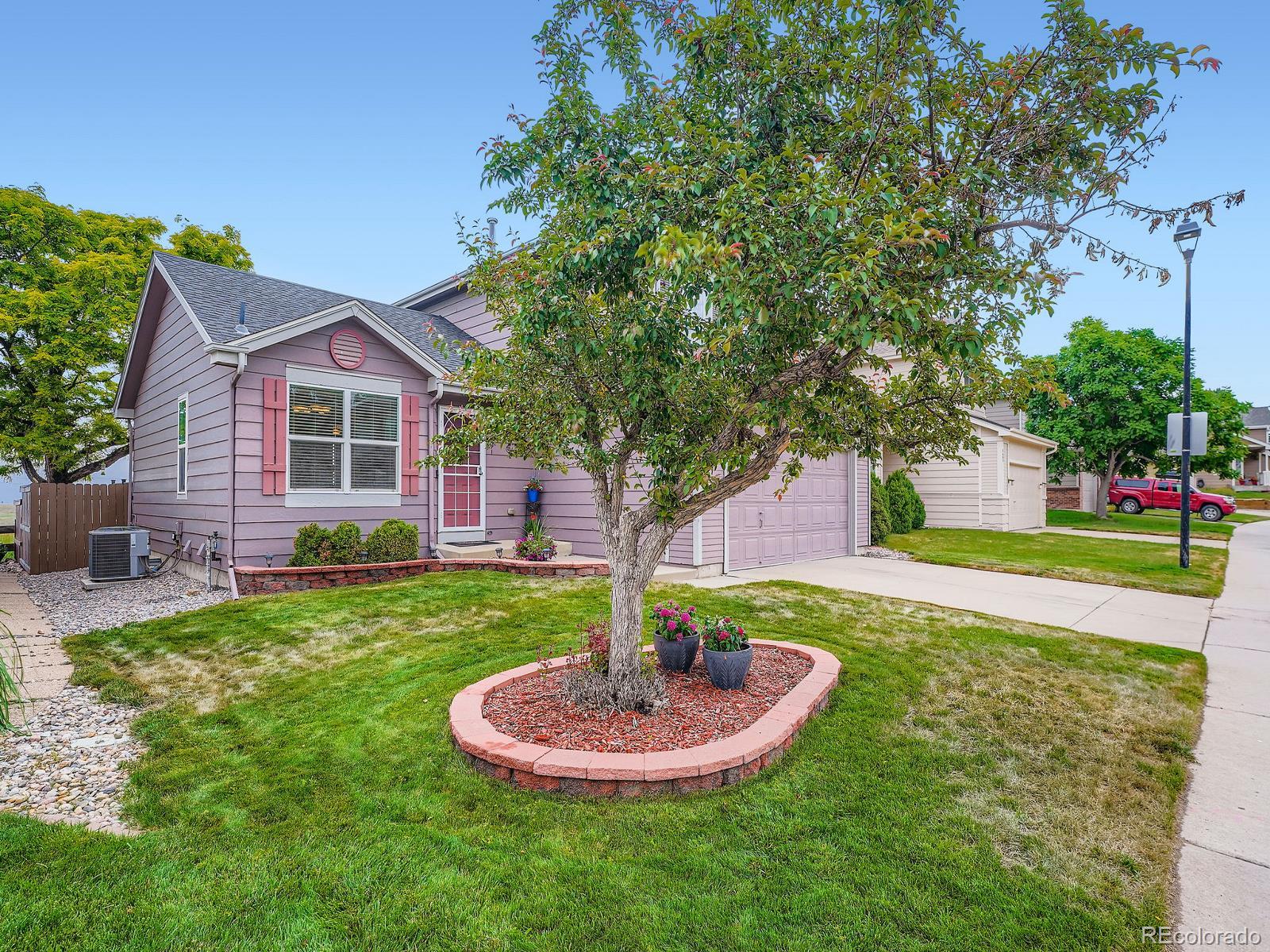 Report Image #1 for 3691  Bucknell Drive,Highlands Ranch, Colorado