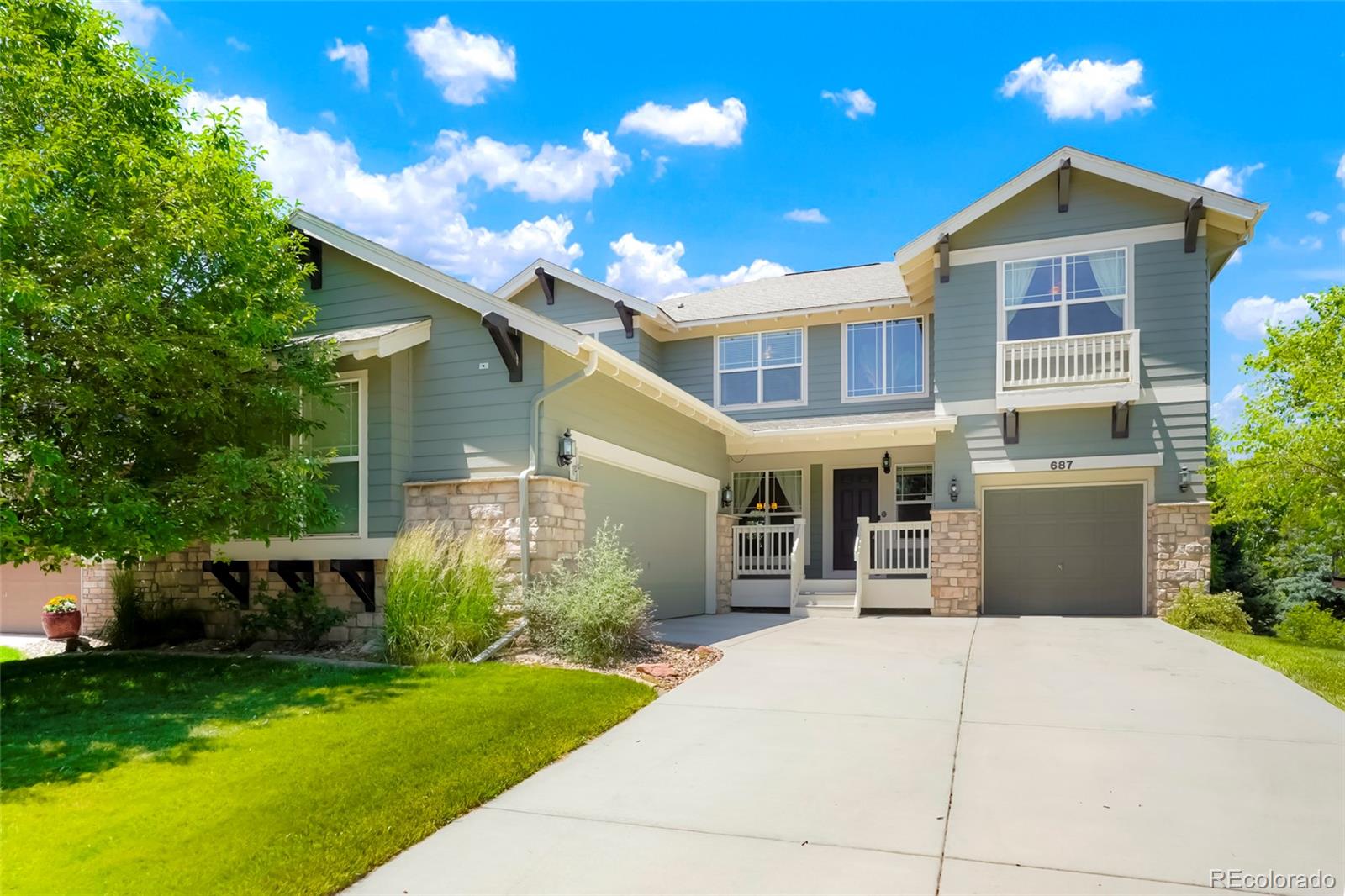 Report Image #1 for 687  Briar Haven Drive,Castle Pines, Colorado