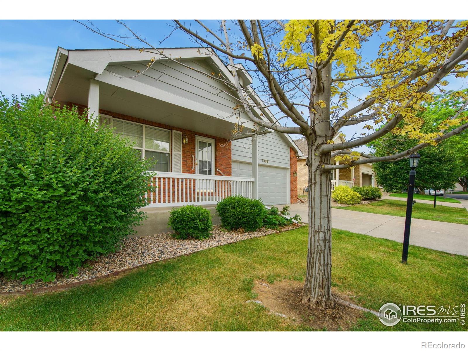 Report Image #1 for 2356  Waverly Drive,Loveland, Colorado
