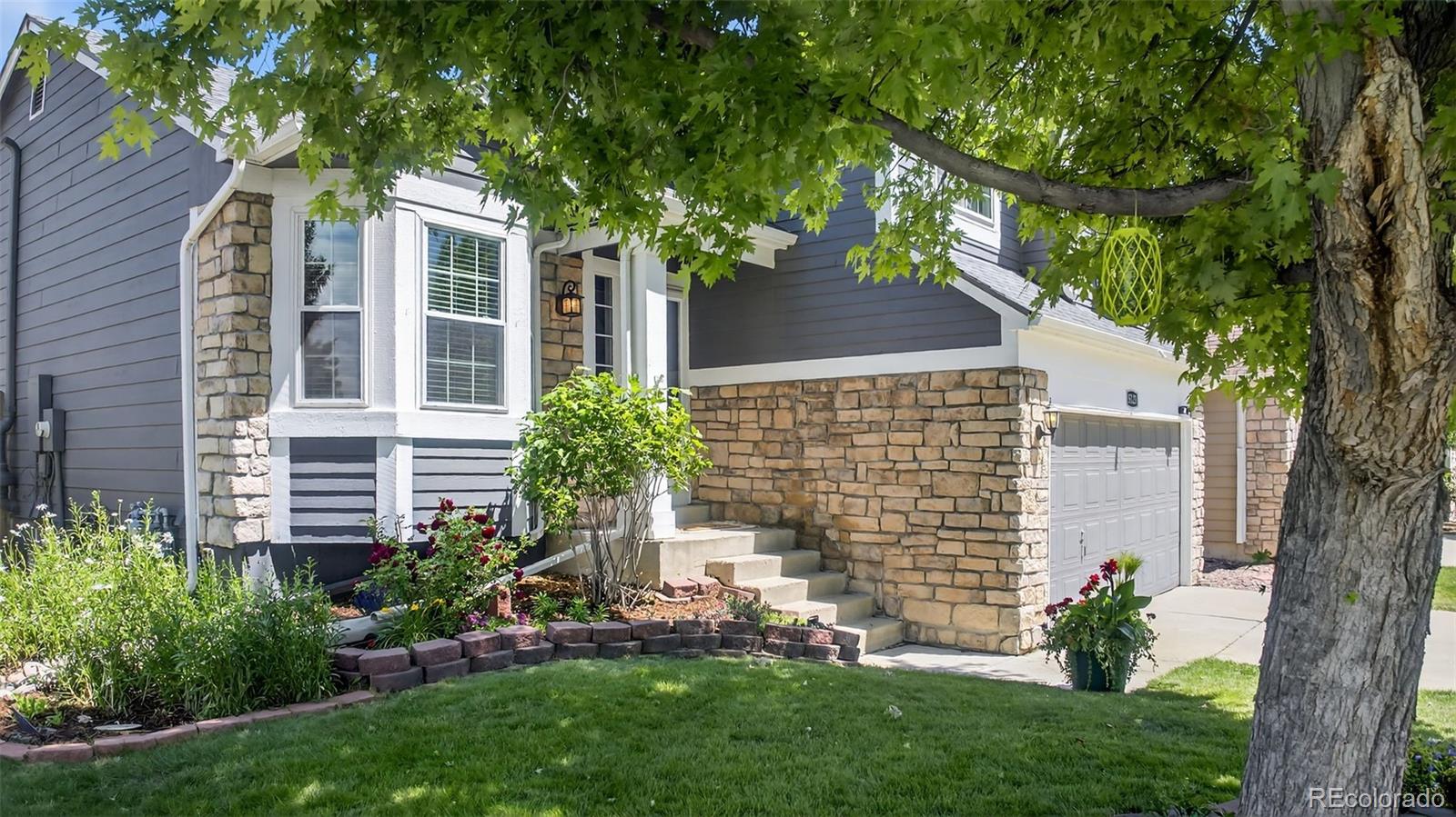 Report Image #1 for 5323 E Hamilton Avenue,Castle Rock, Colorado