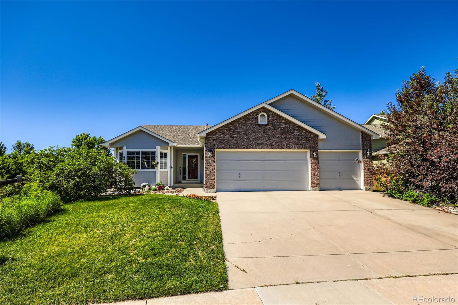 Report Image #1 for 3859  Rawhide Circle,Castle Rock, Colorado