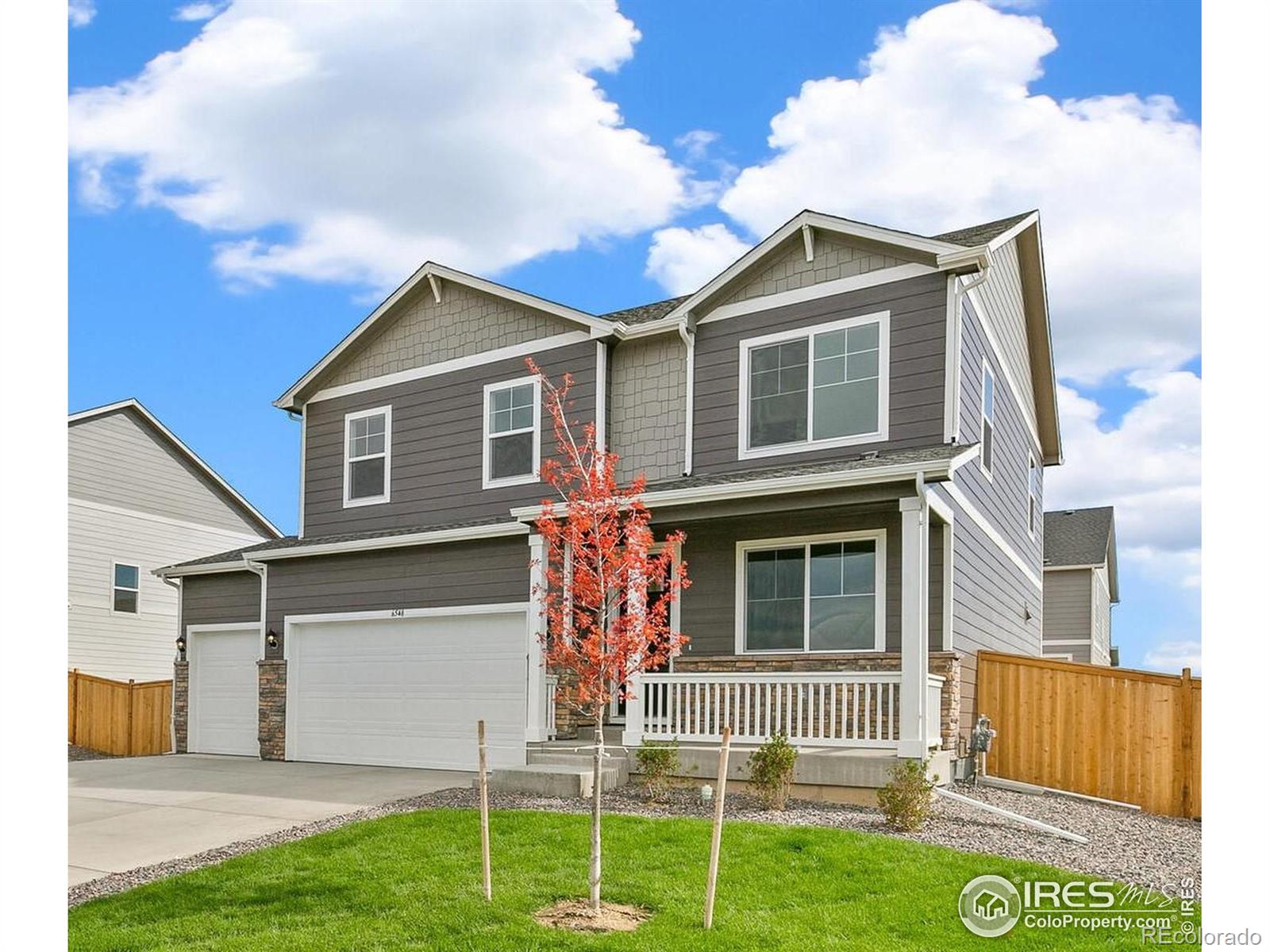 Report Image #1 for 4331  Gypsum Avenue,Mead, Colorado