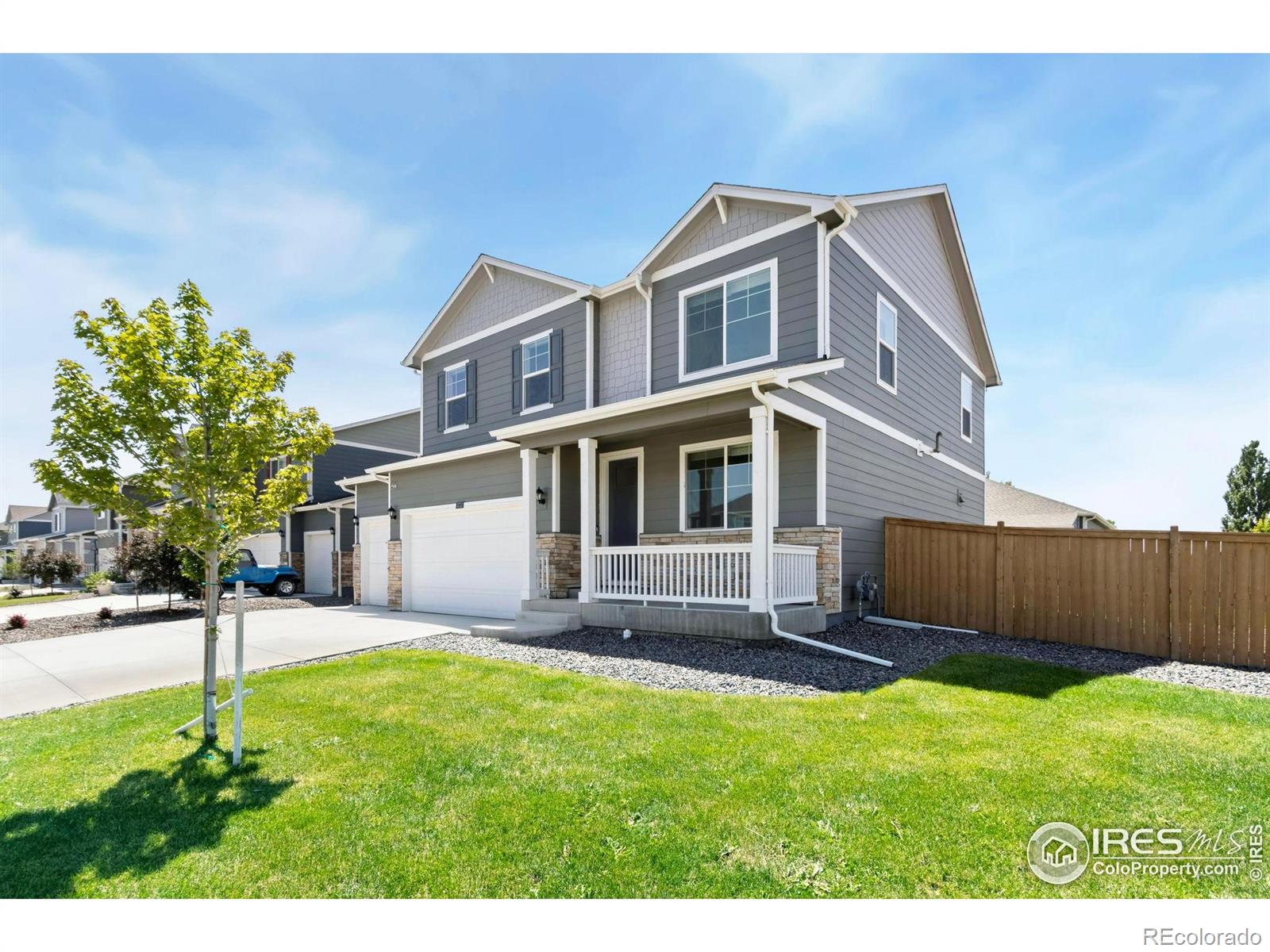 Report Image #1 for 3713  Catmint Street,Wellington, Colorado