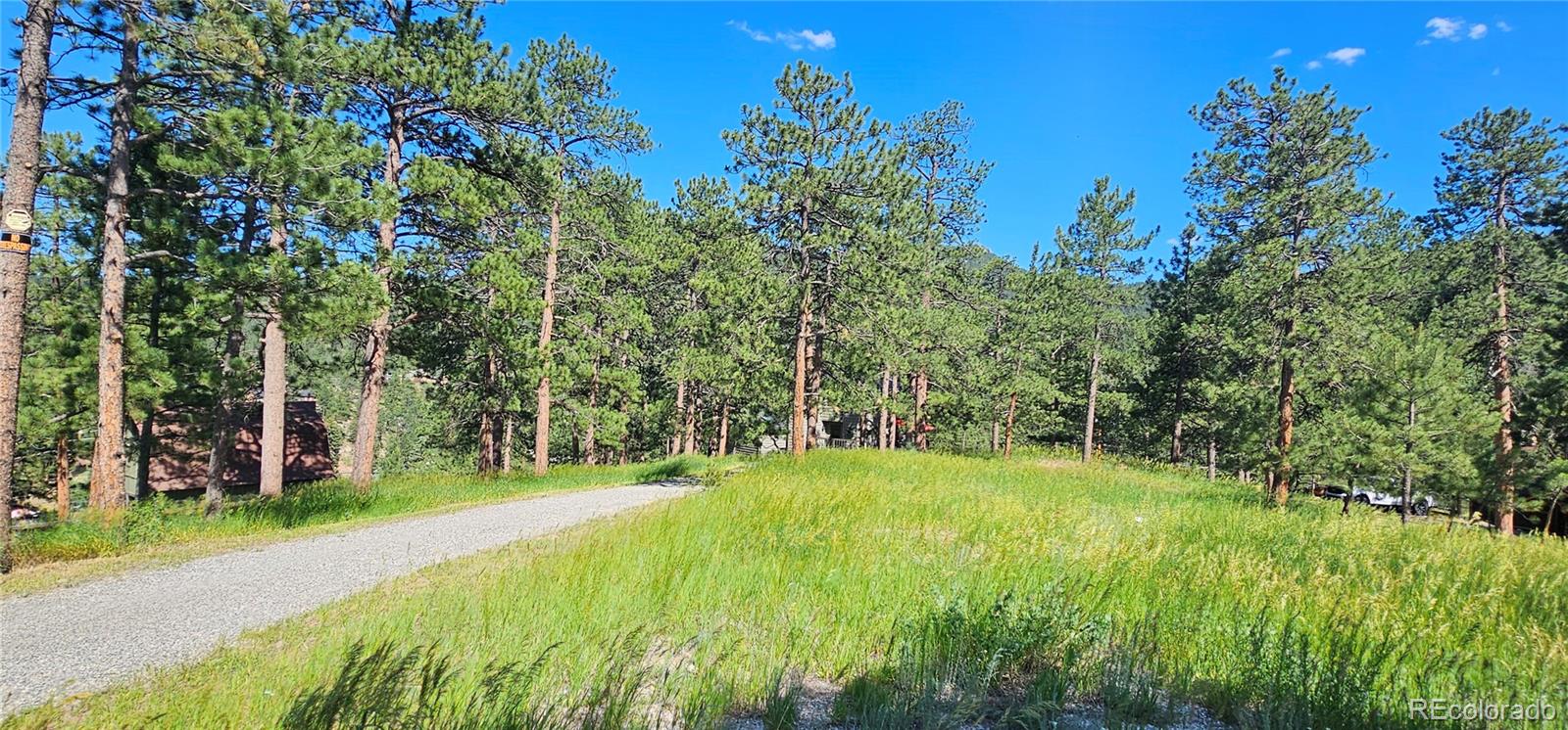 Report Image # for 27901  Pine Drive,Evergreen, Colorado