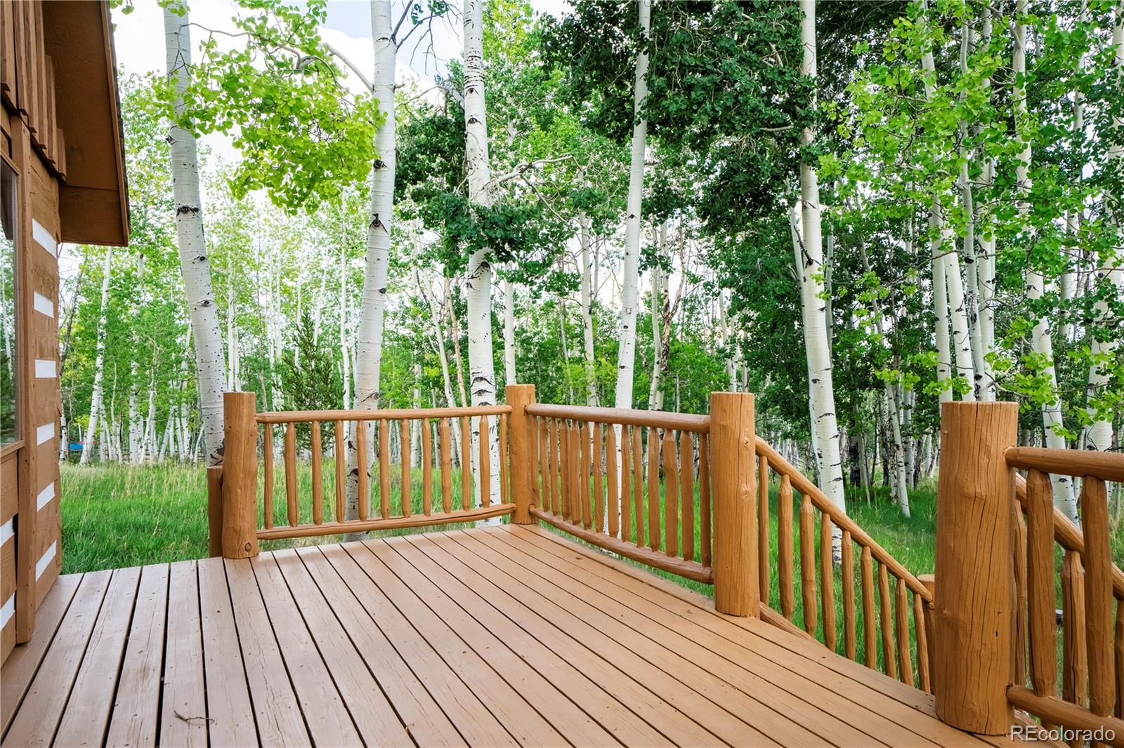 Report Image #1 for 326  Canthook Lane,Fairplay, Colorado
