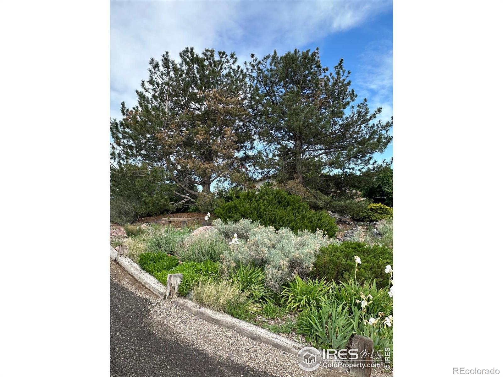 Report Image #1 for 13748  Downing Street,Brighton, Colorado