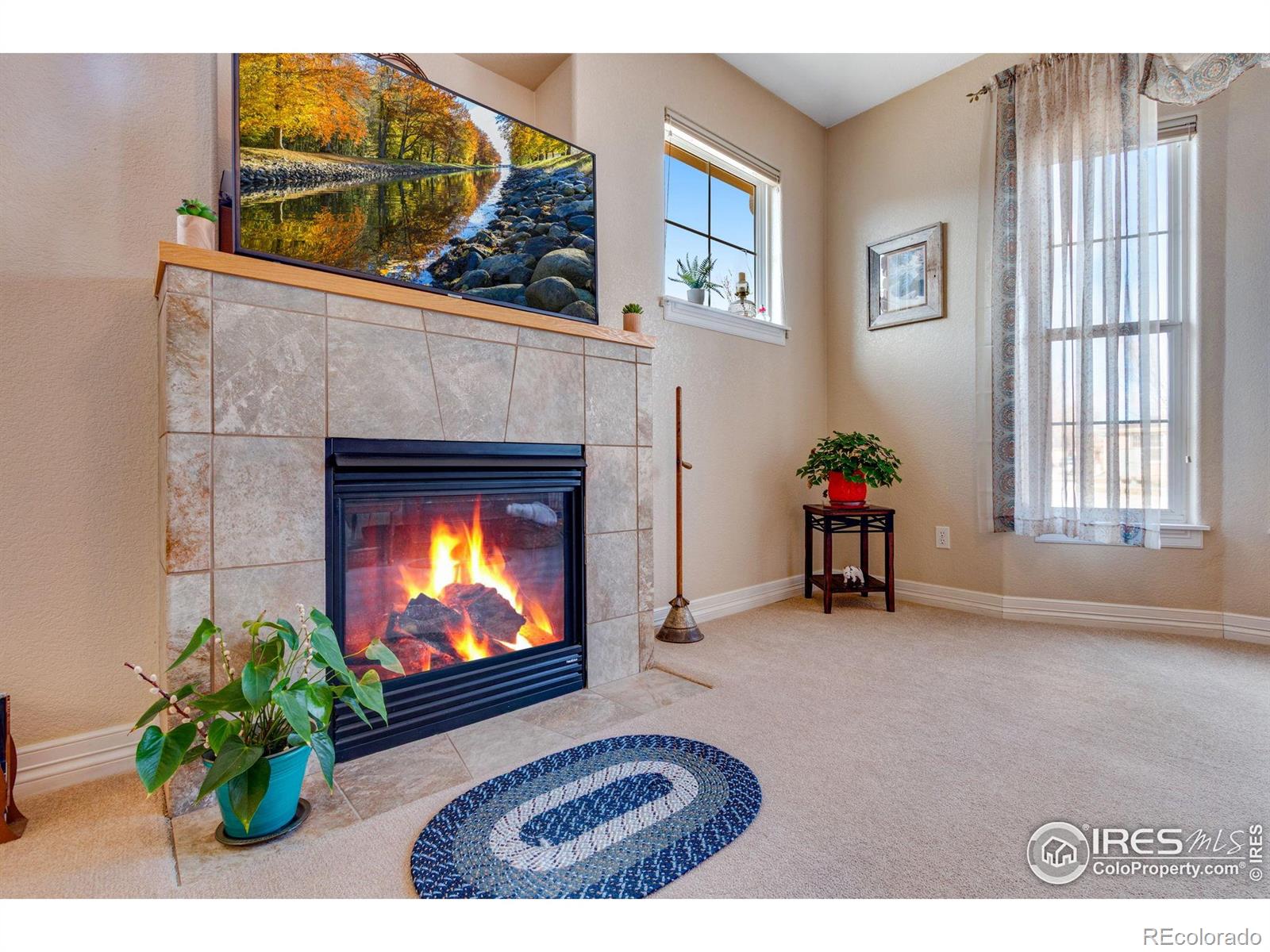 Report Image #1 for 1238  Inca Dove Circle,Loveland, Colorado