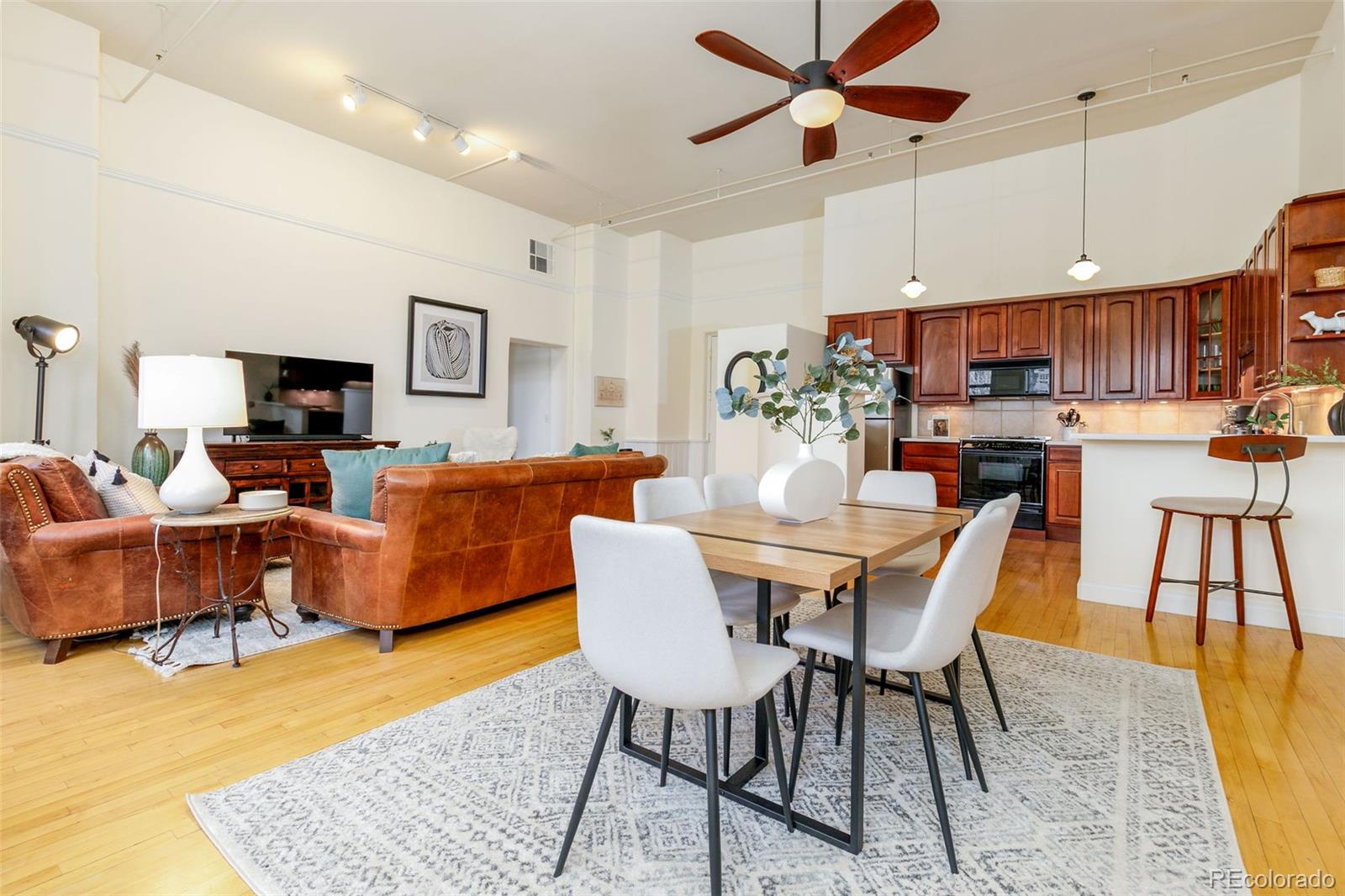 Report Image #1 for 1140  Columbine Street,Denver, Colorado