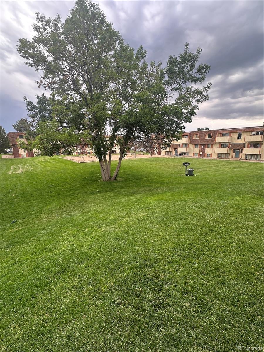 Report Image # for 10211  Ura Lane,Thornton, Colorado