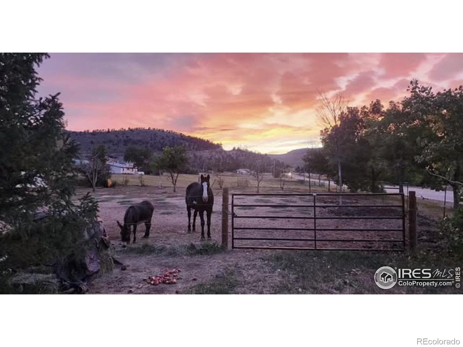 Report Image #1 for 4109  Red Fox Road,Fort Collins, Colorado