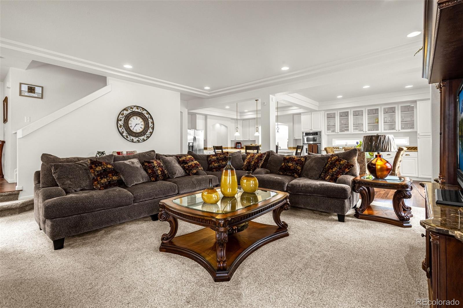 Report Image #1 for 20109  Randolph Place,Denver, Colorado