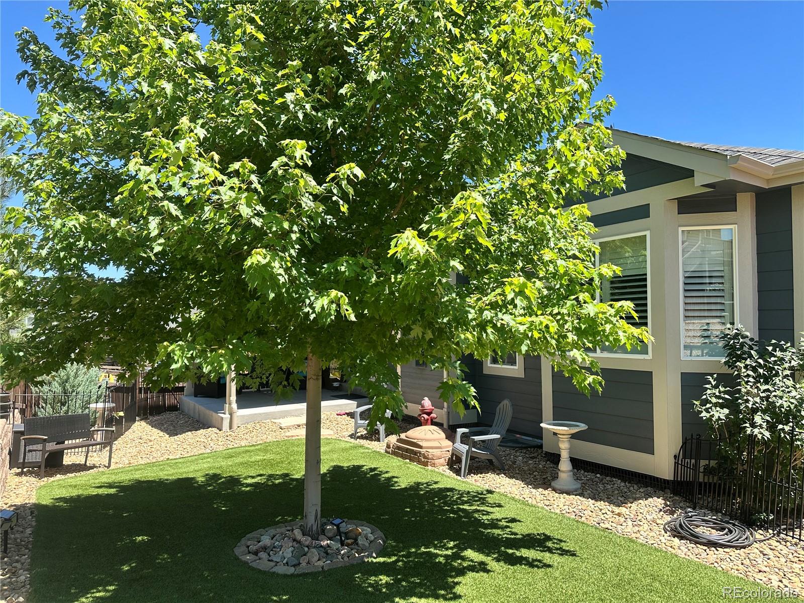 Report Image # for 7765  Oasis Drive,Castle Rock, Colorado