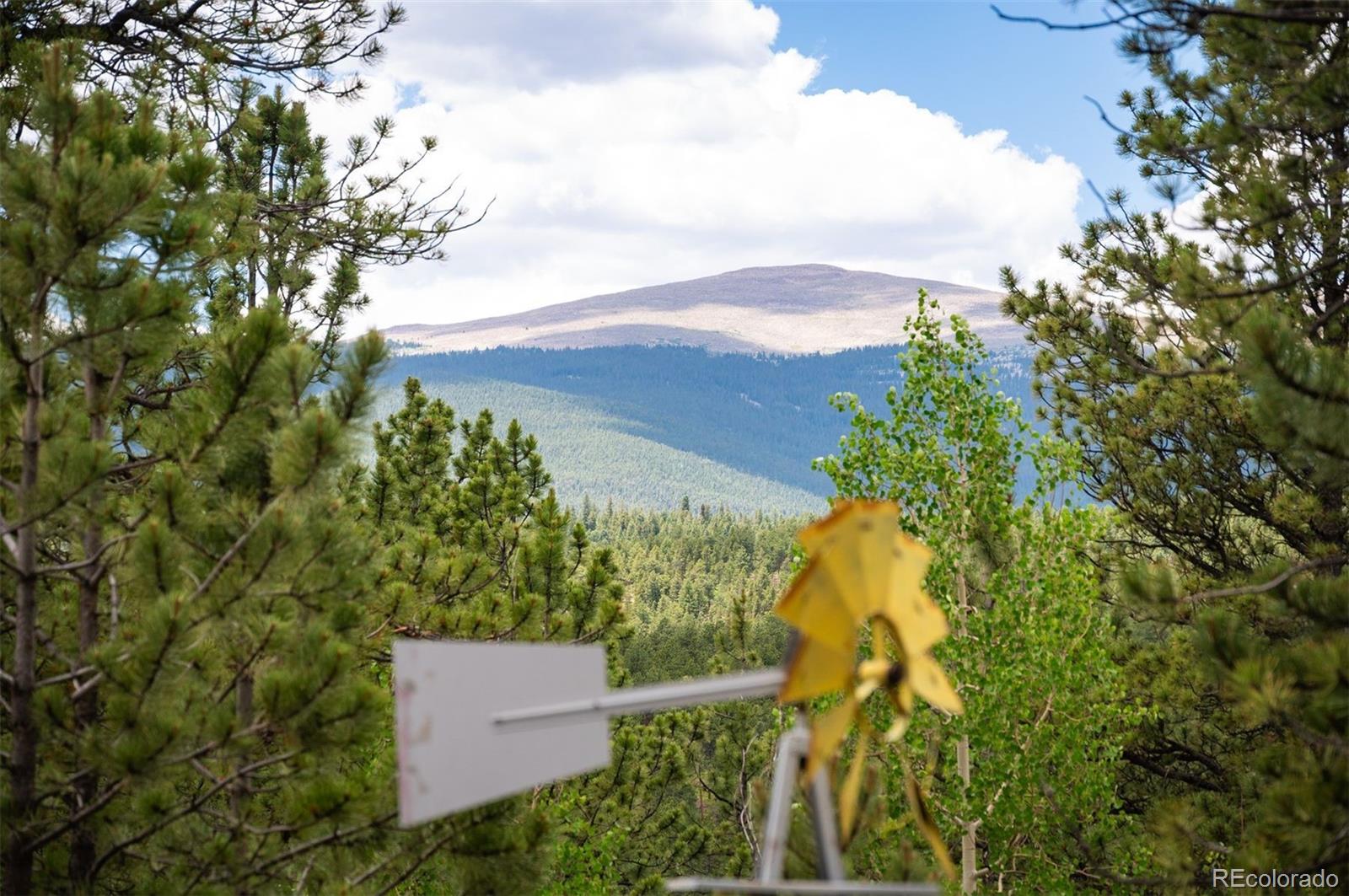 Report Image #1 for 21  Crystal Rock Road,Bailey, Colorado
