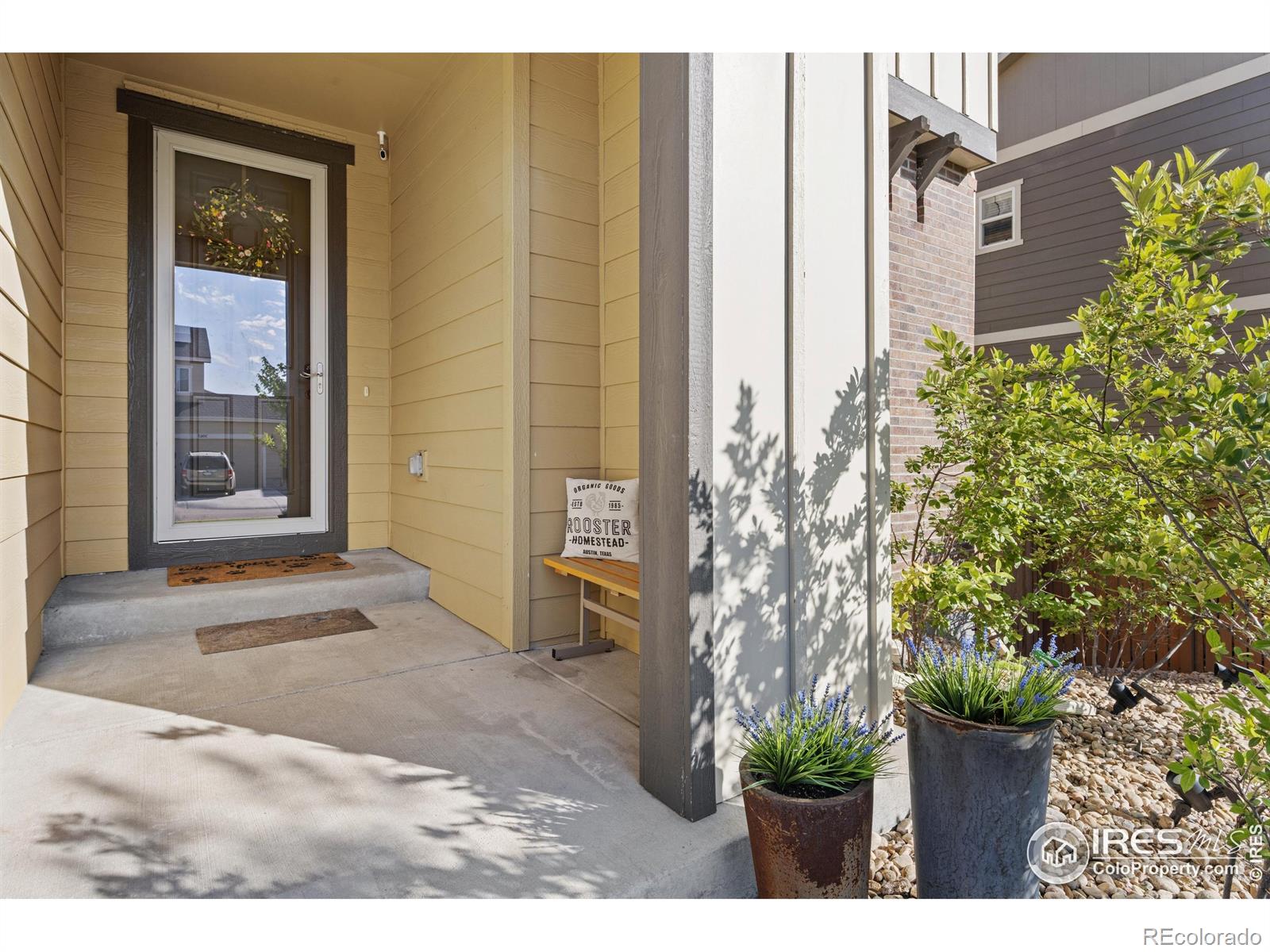 Report Image #1 for 3068  Aries Drive,Loveland, Colorado