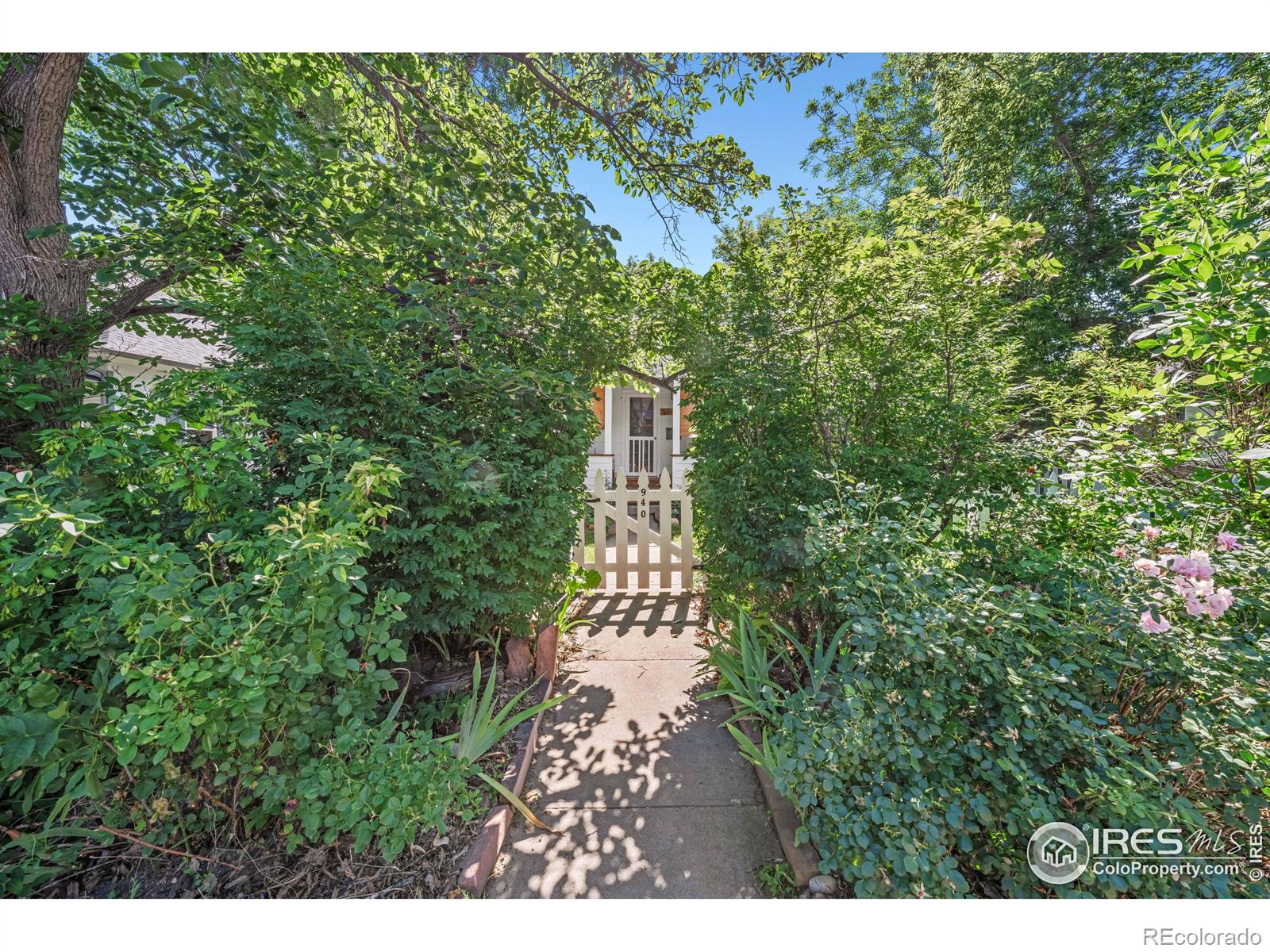 Report Image #1 for 940  Gay Street,Longmont, Colorado