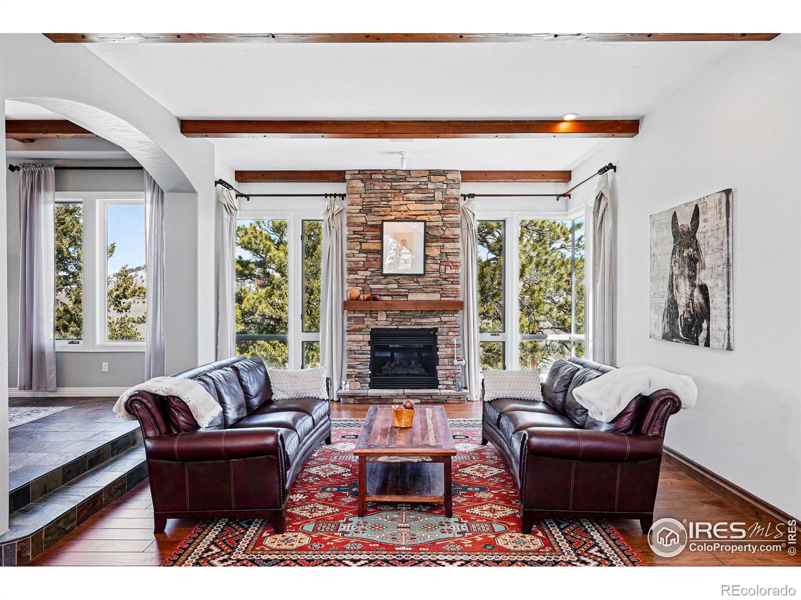 Report Image #1 for 290  Skyhill Drive,Evergreen, Colorado