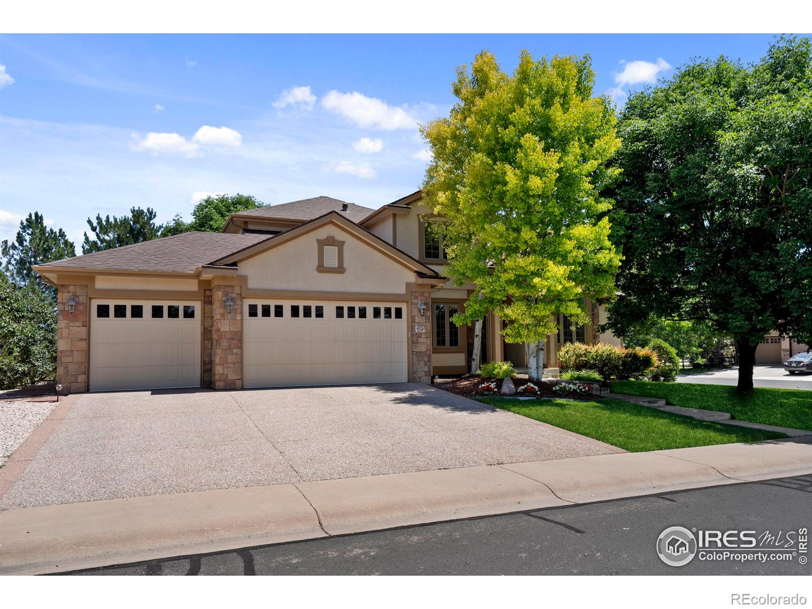 Report Image #1 for 1591  Landon Court,Windsor, Colorado