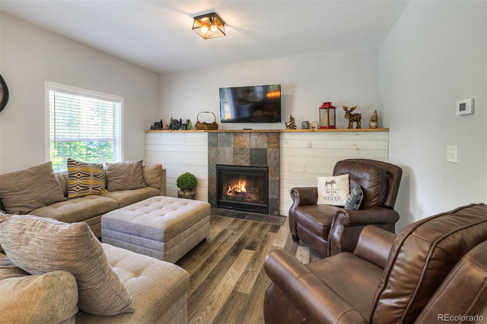 Report Image #1 for 1167  Mountain View Drive,Fairplay, Colorado