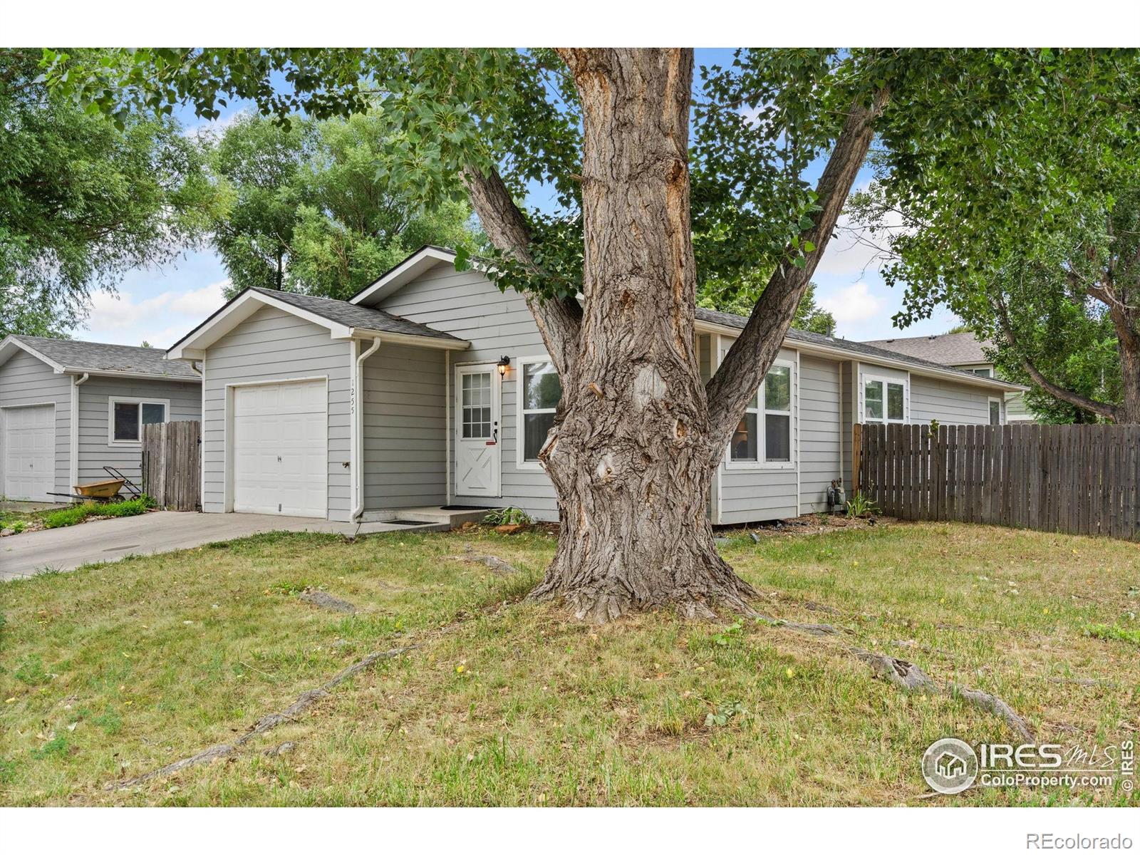 Report Image #1 for 1255  Alameda Street,Fort Collins, Colorado