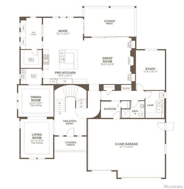 Report Image # for 1351  Oleander Street,Castle Rock, Colorado
