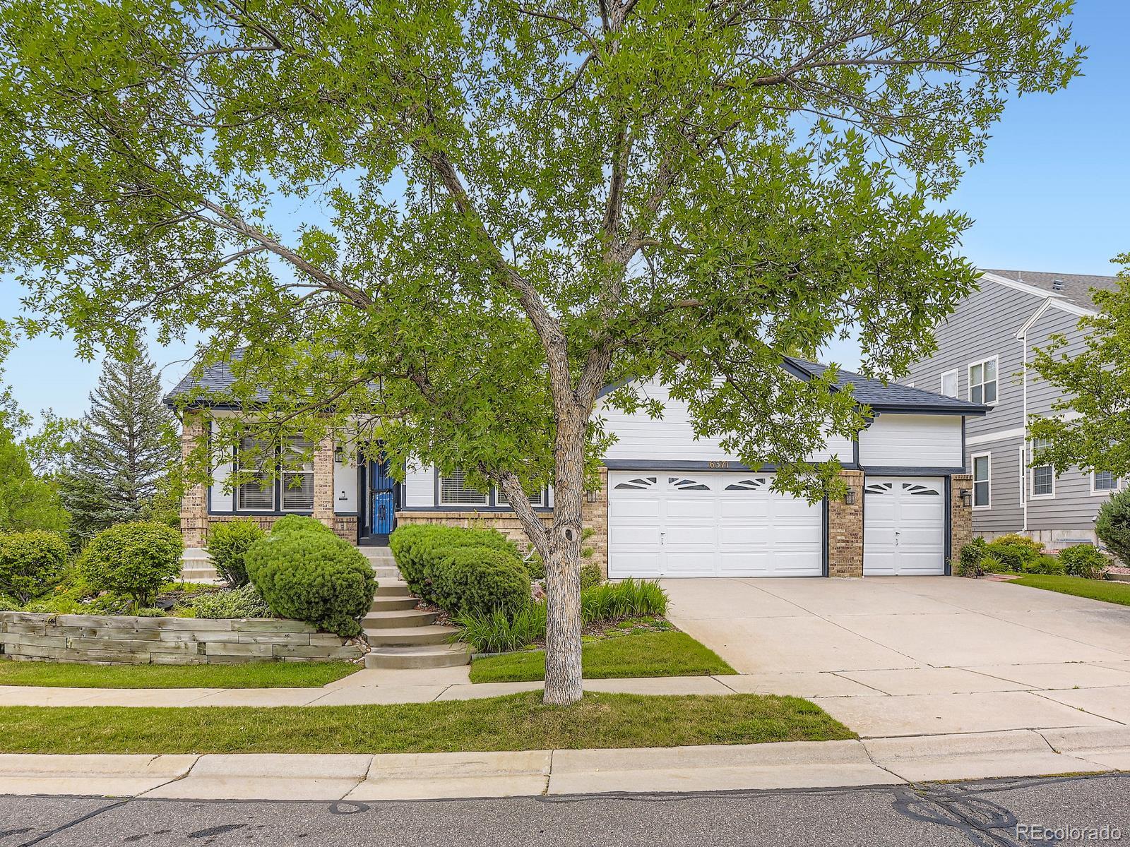 Report Image #1 for 6371  Umber Circle,Arvada, Colorado