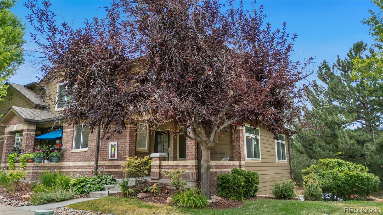 Report Image #1 for 6484  Silver Mesa Drive,Highlands Ranch, Colorado