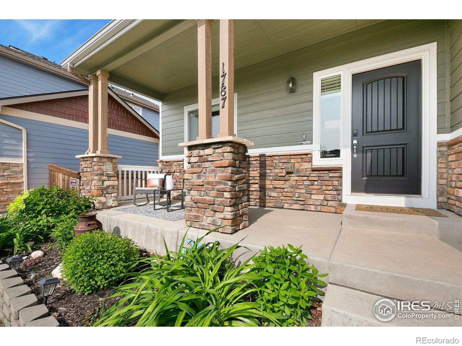 Report Image #1 for 1787  Avery Plaza Street,Severance, Colorado