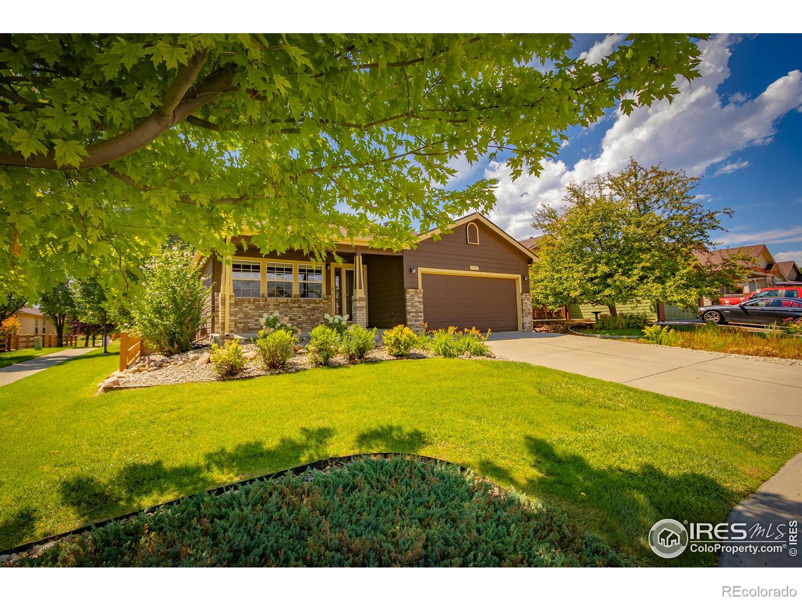 Report Image #1 for 2504  Winter Park Street,Loveland, Colorado