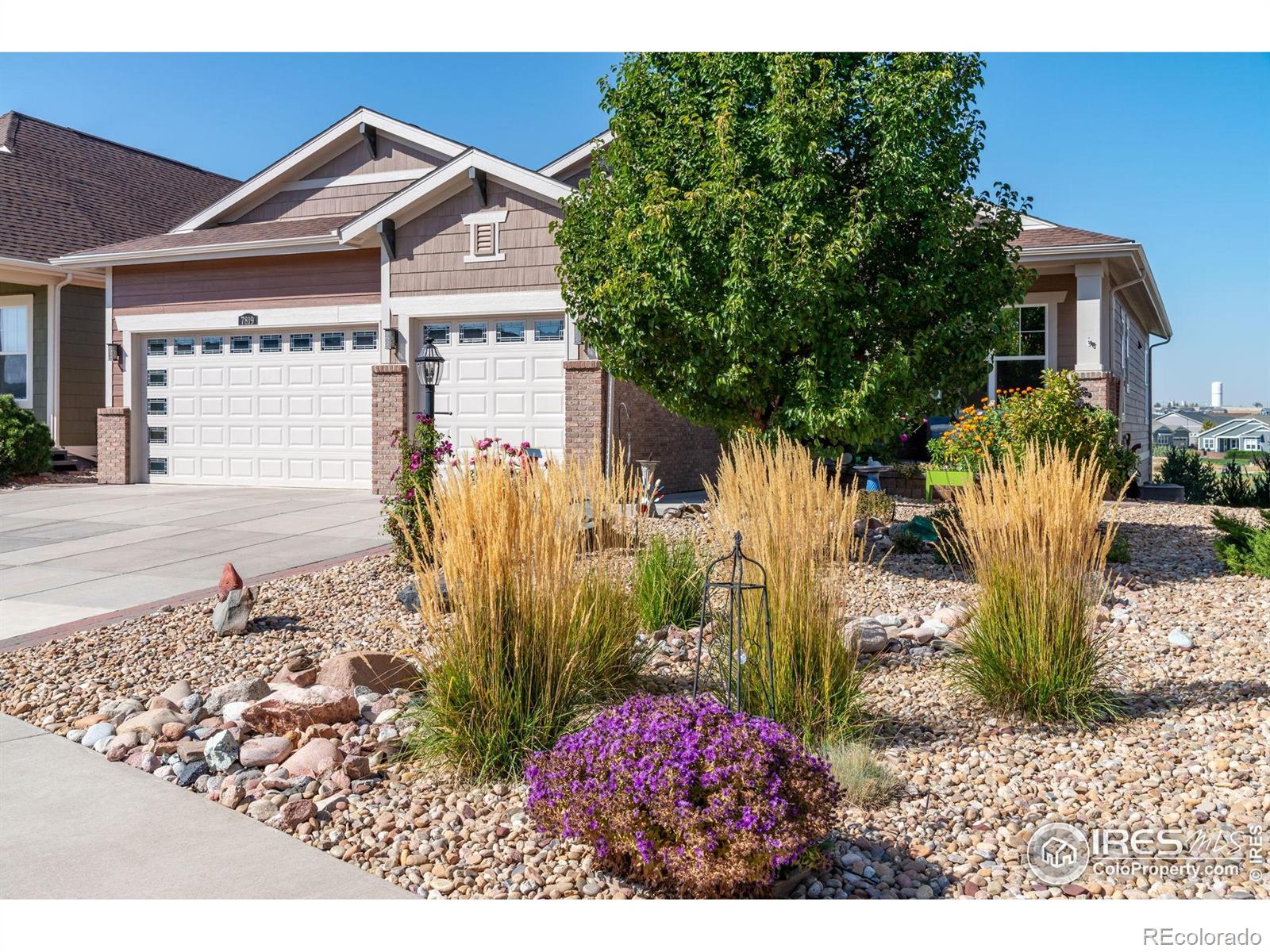 Report Image #1 for 7819  Spruce Court,Thornton, Colorado