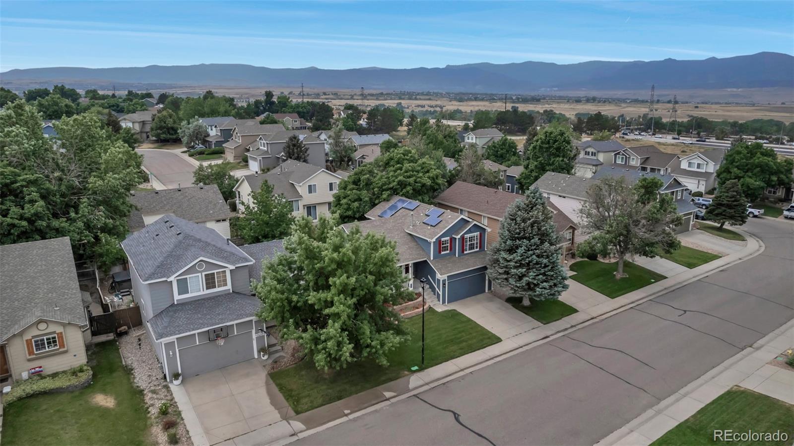 Report Image #1 for 3708  Bucknell Drive,Highlands Ranch, Colorado