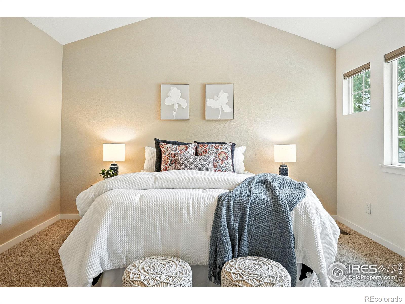 Report Image #1 for 709  Snowberry Street,Longmont, Colorado