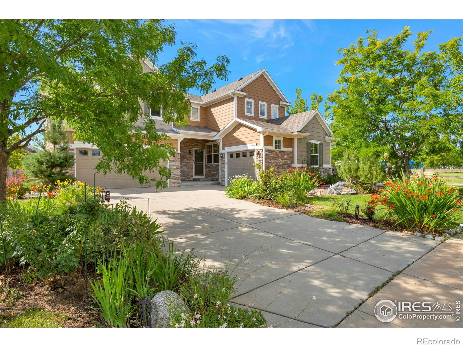 Report Image #1 for 873  Mcclure Way,Erie, Colorado