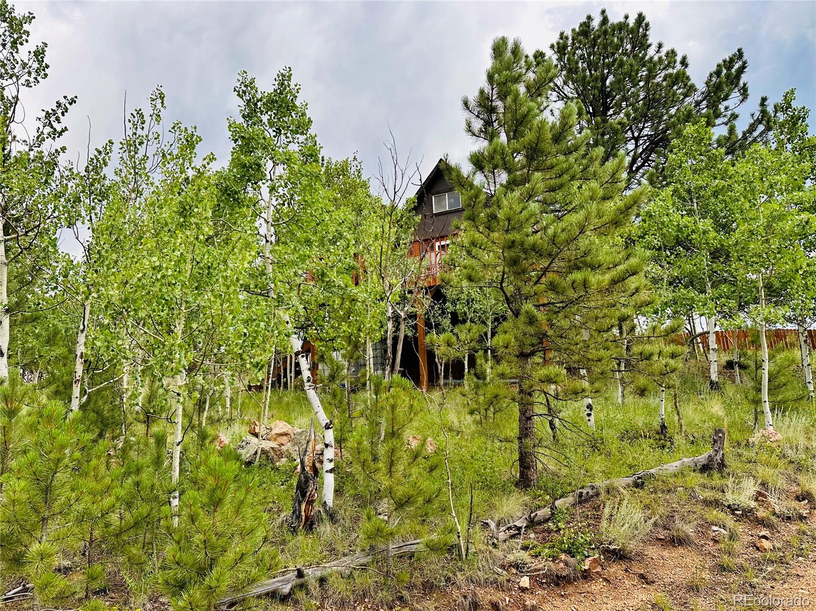 Report Image #1 for 229  Mcdougal Road,Bailey, Colorado