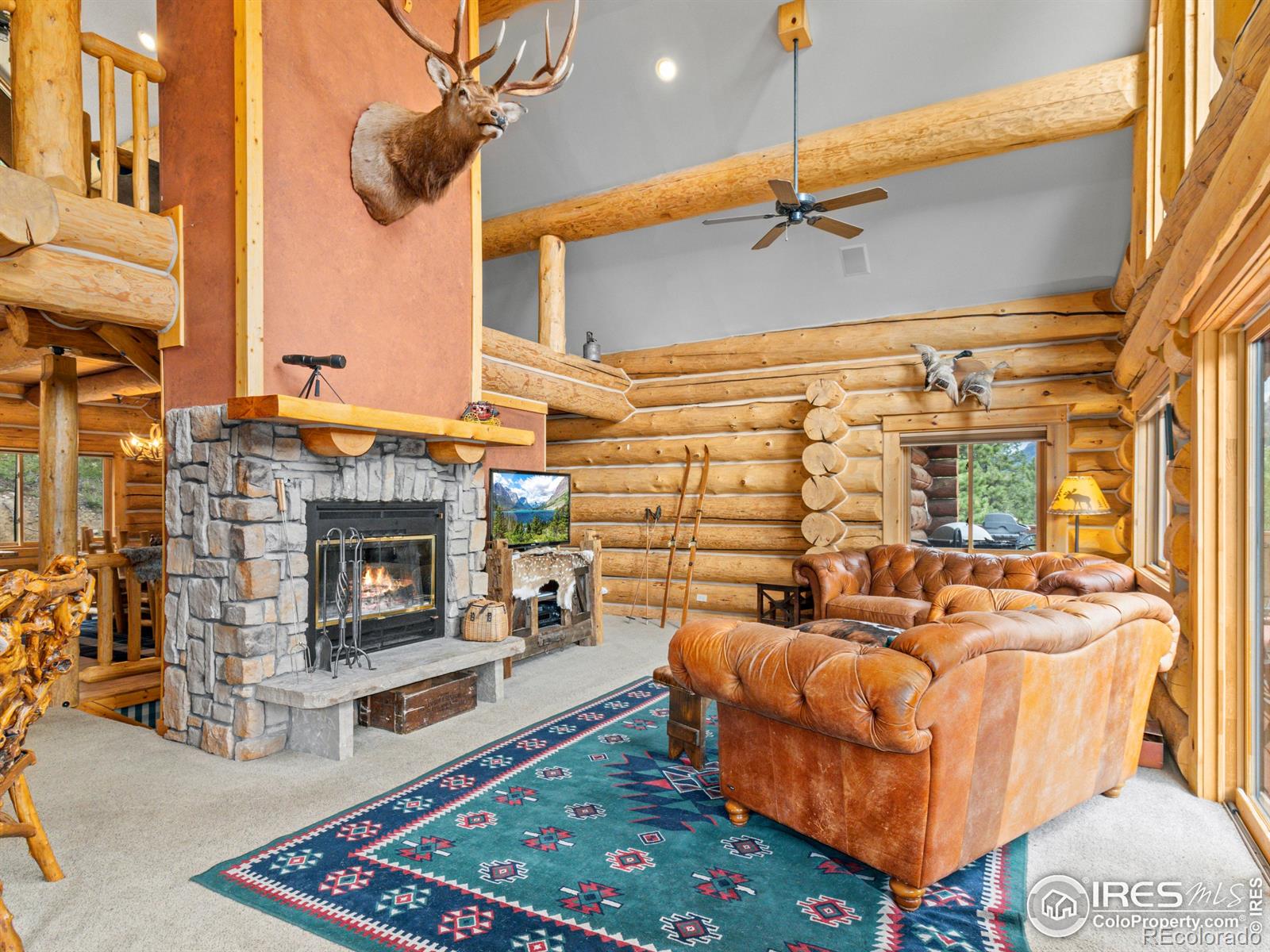 Report Image #1 for 250  Muggins Gulch Lane,Estes Park, Colorado
